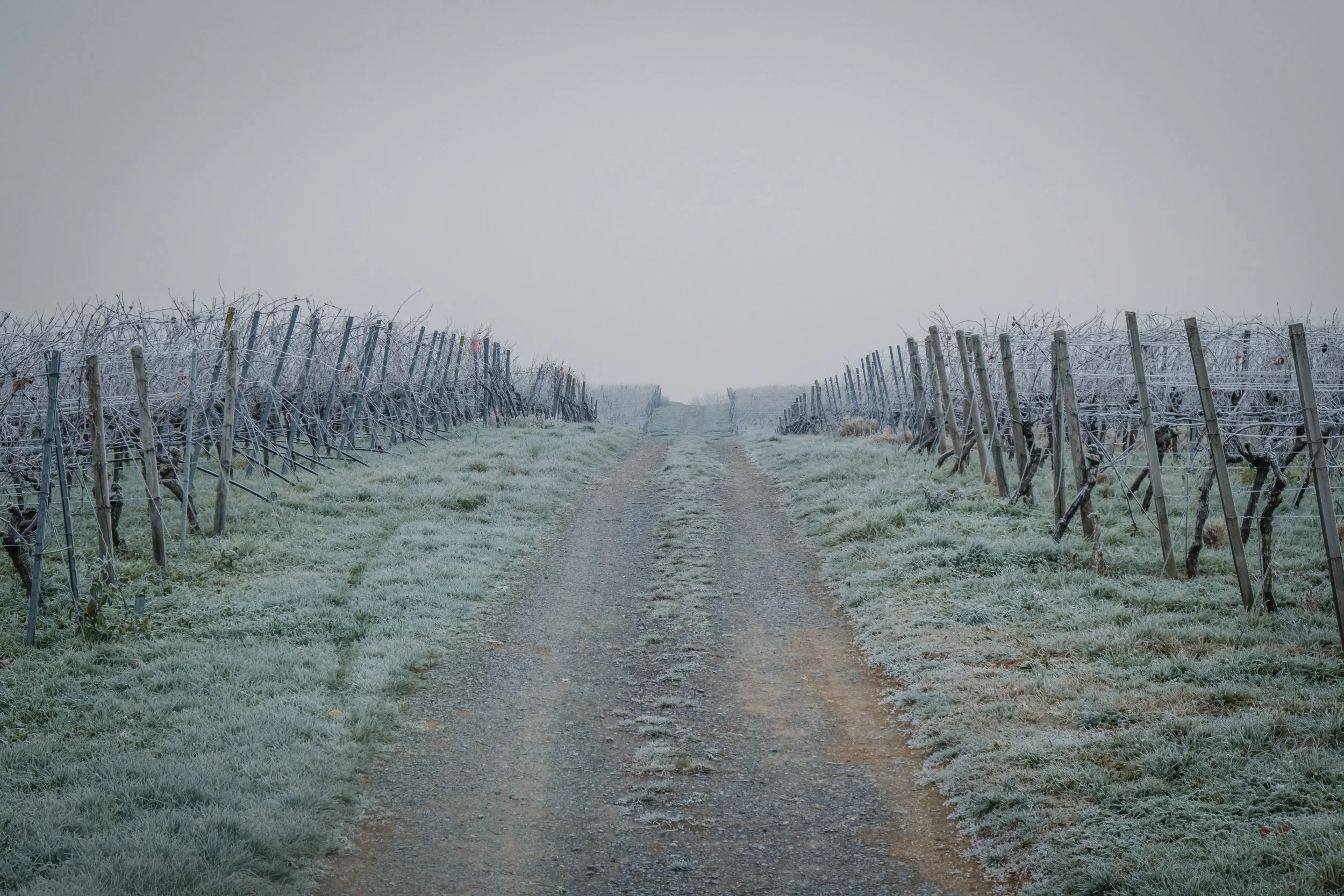 DSCF6993-3.jpg