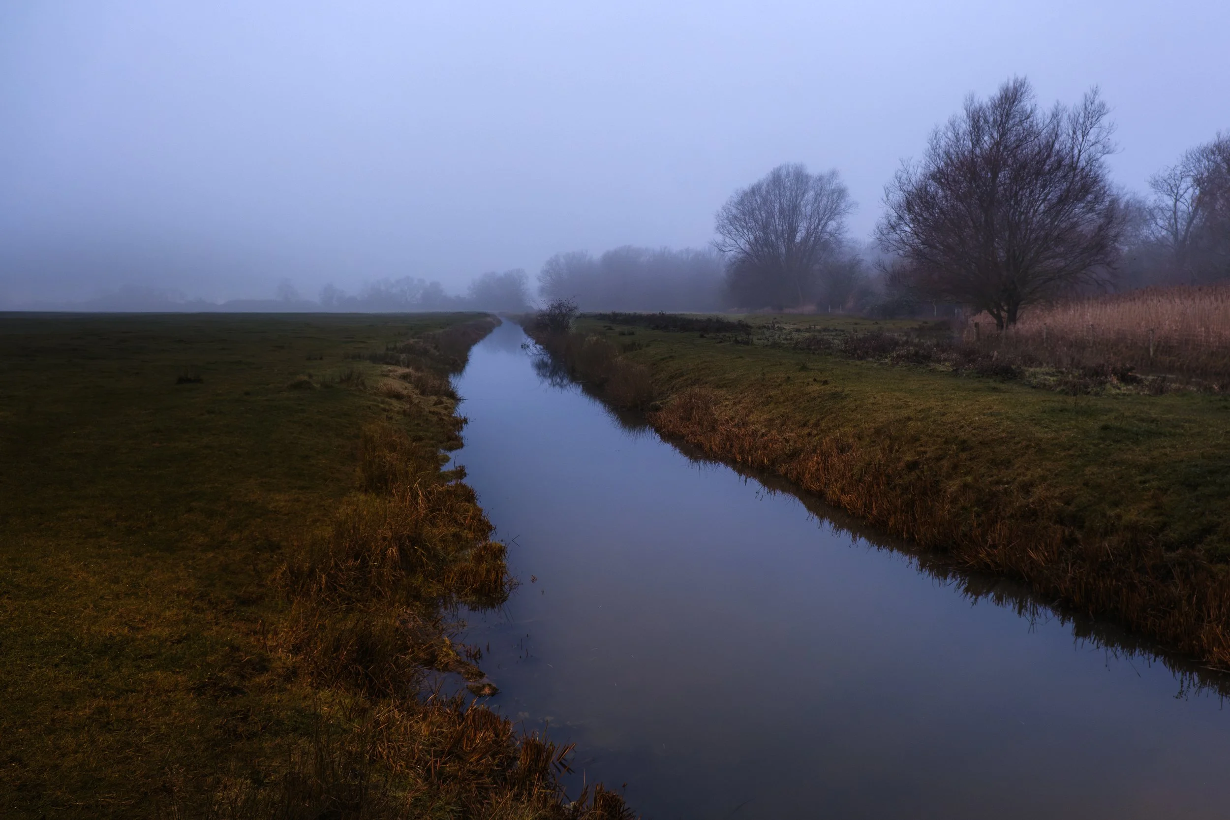 Proof of [creative] Life