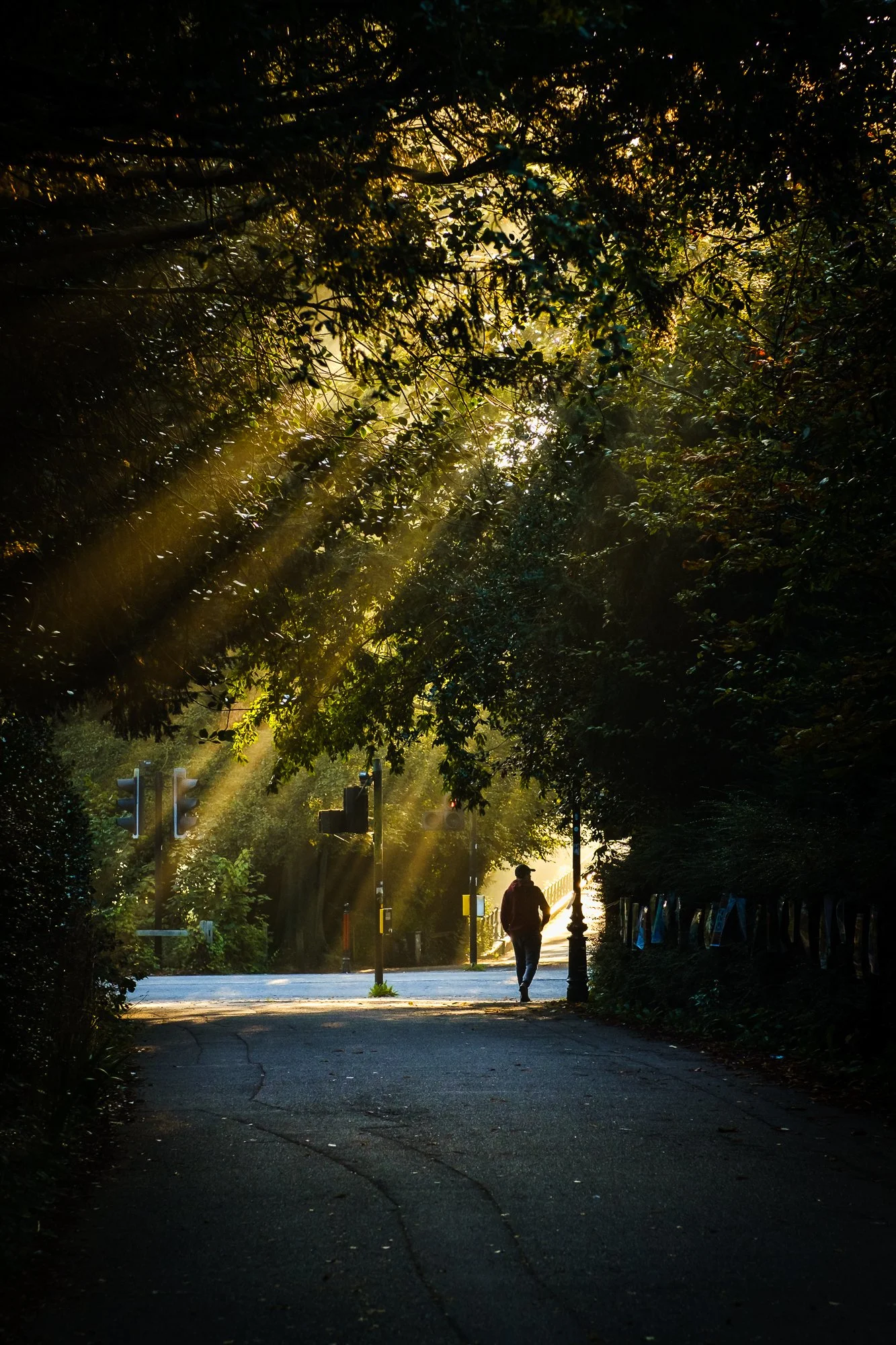 Mason_Keith_Burrell's Walk.jpg