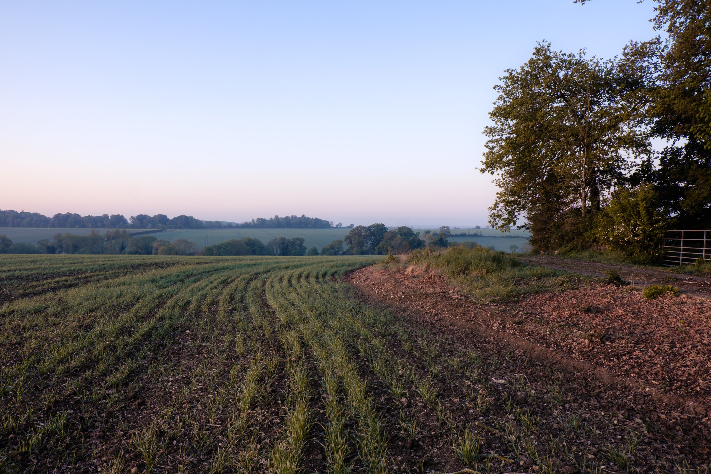 DSCF6790-5.jpg