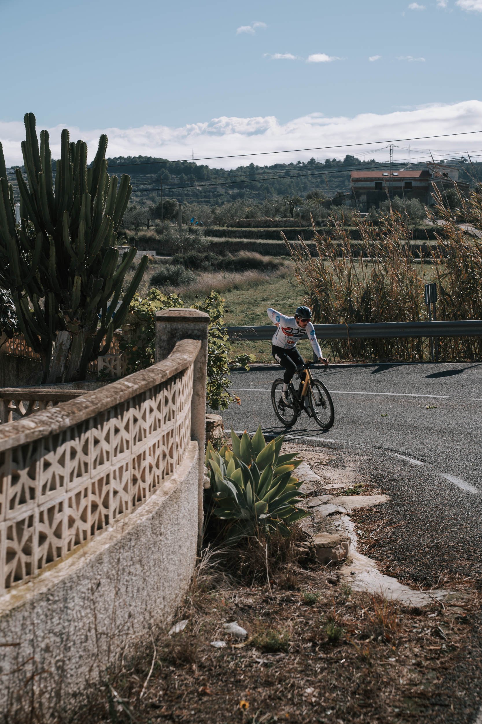 A cyclist wearing a white jacket and black pants rides a bike along a curving road, with a large cactus and some agave plants in the foreground, and a scenic landscape with hills and power lines in the background.