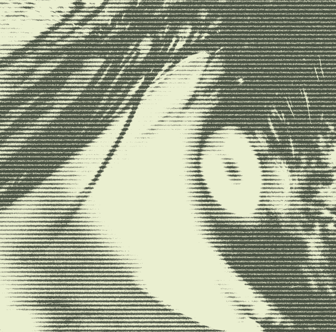 Luke's Gospel: To Seek and to Save the Lost | Luke 19:1-10 | 55