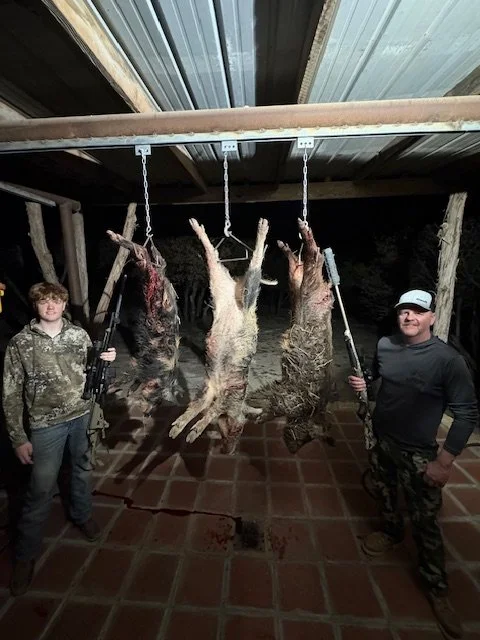 Two boys standing beside hanging hunted wild pigs in a rustic outdoor setting.