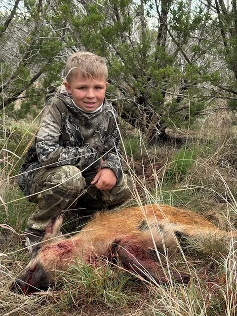 Not too bad for first hog shot from a blind