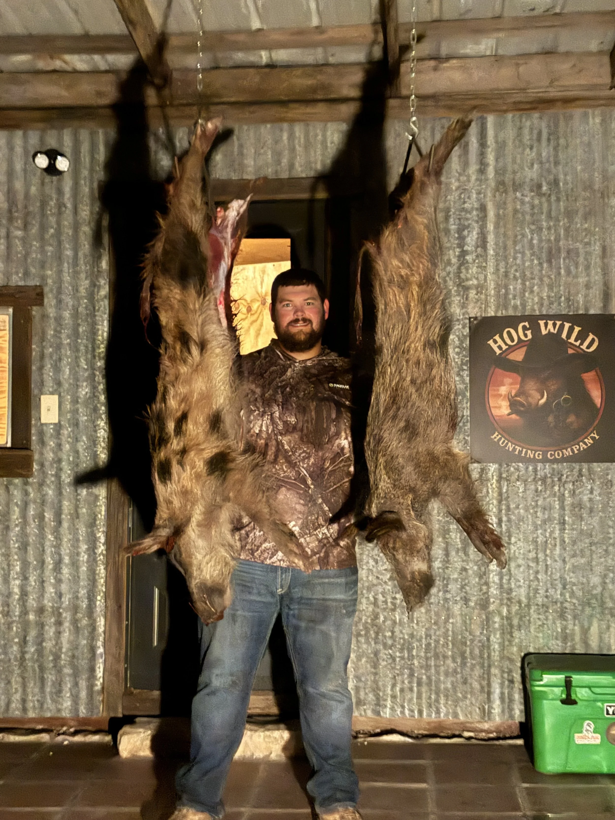 Dressed wild hogs waiting to be processed.