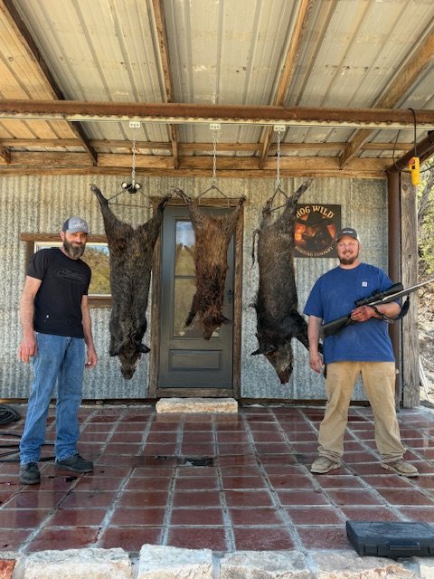 Two hunters standing in front of a rustic wall with three hanging wild boar hides and a sign that says 'Hog Wild.' 
