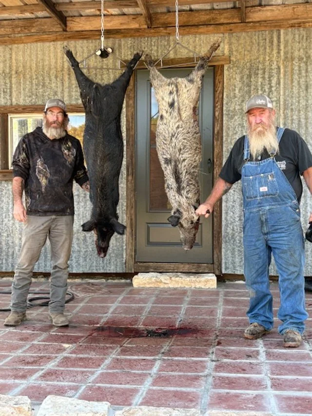 Wild Hogs ready to process