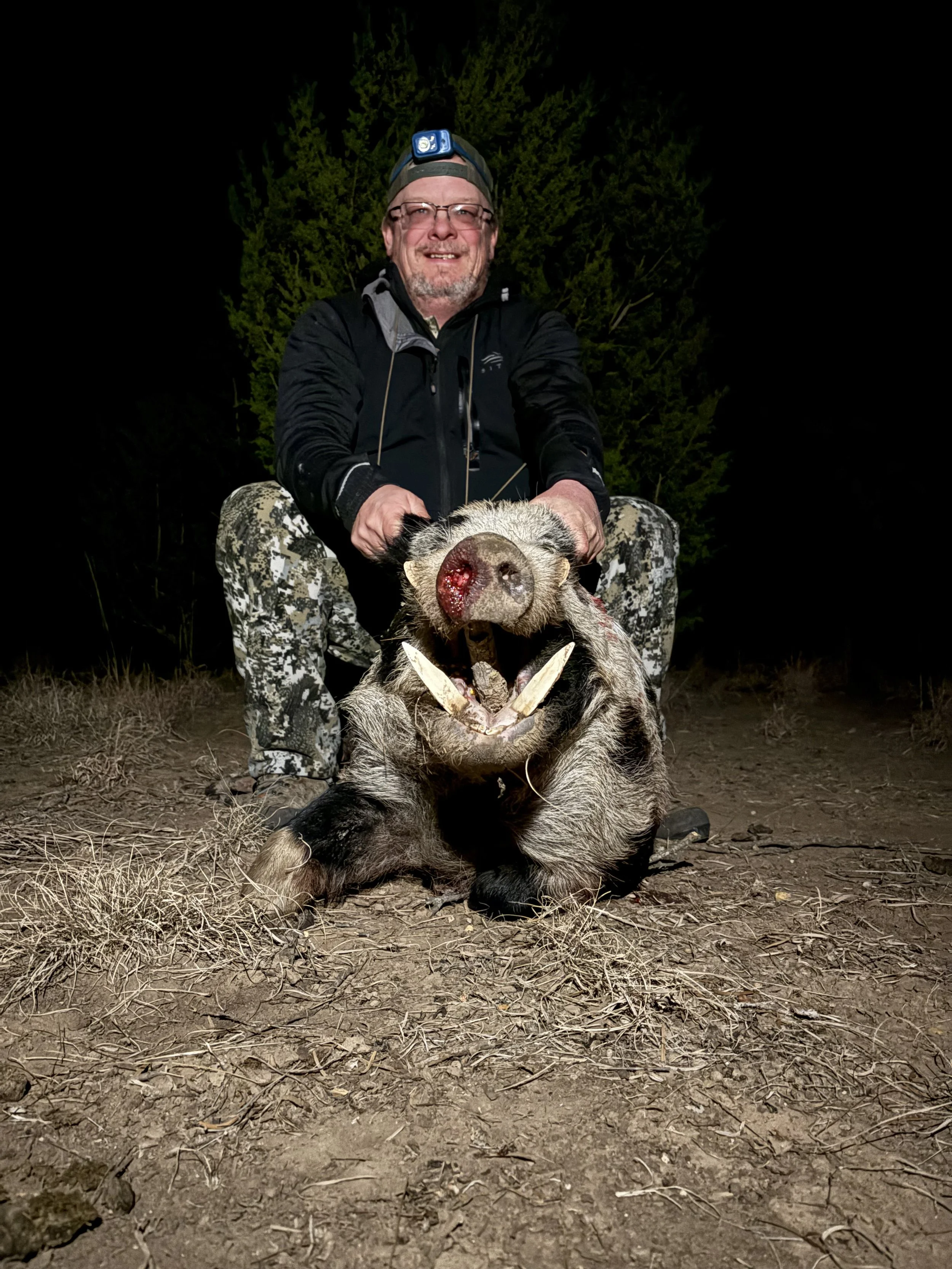 Bow hunter with spotted hog.