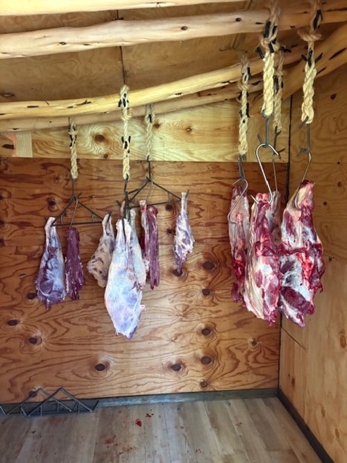 Processed hog meat in the cooler