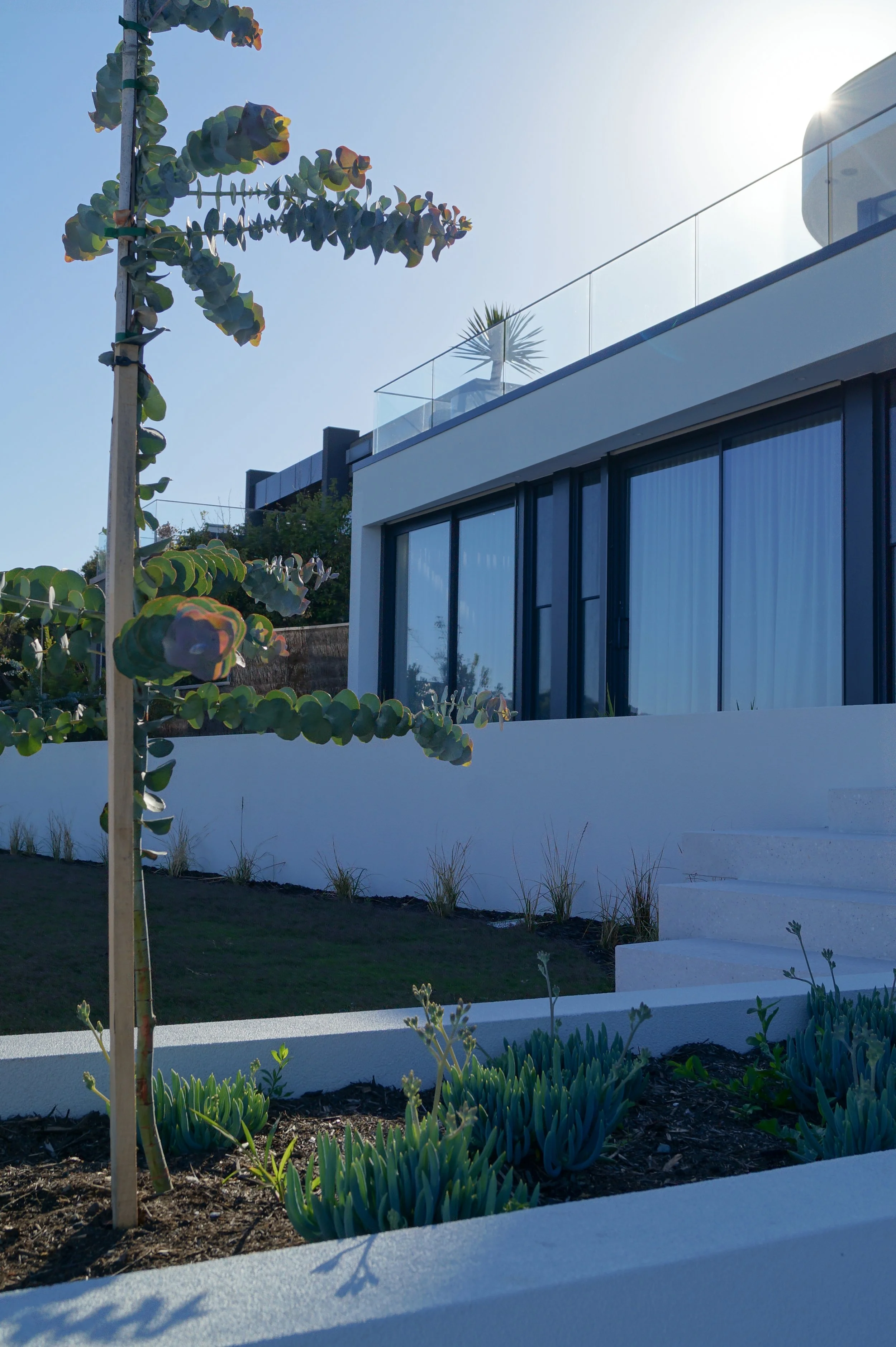 Mount Martha Photos Dec 2025-37.jpg