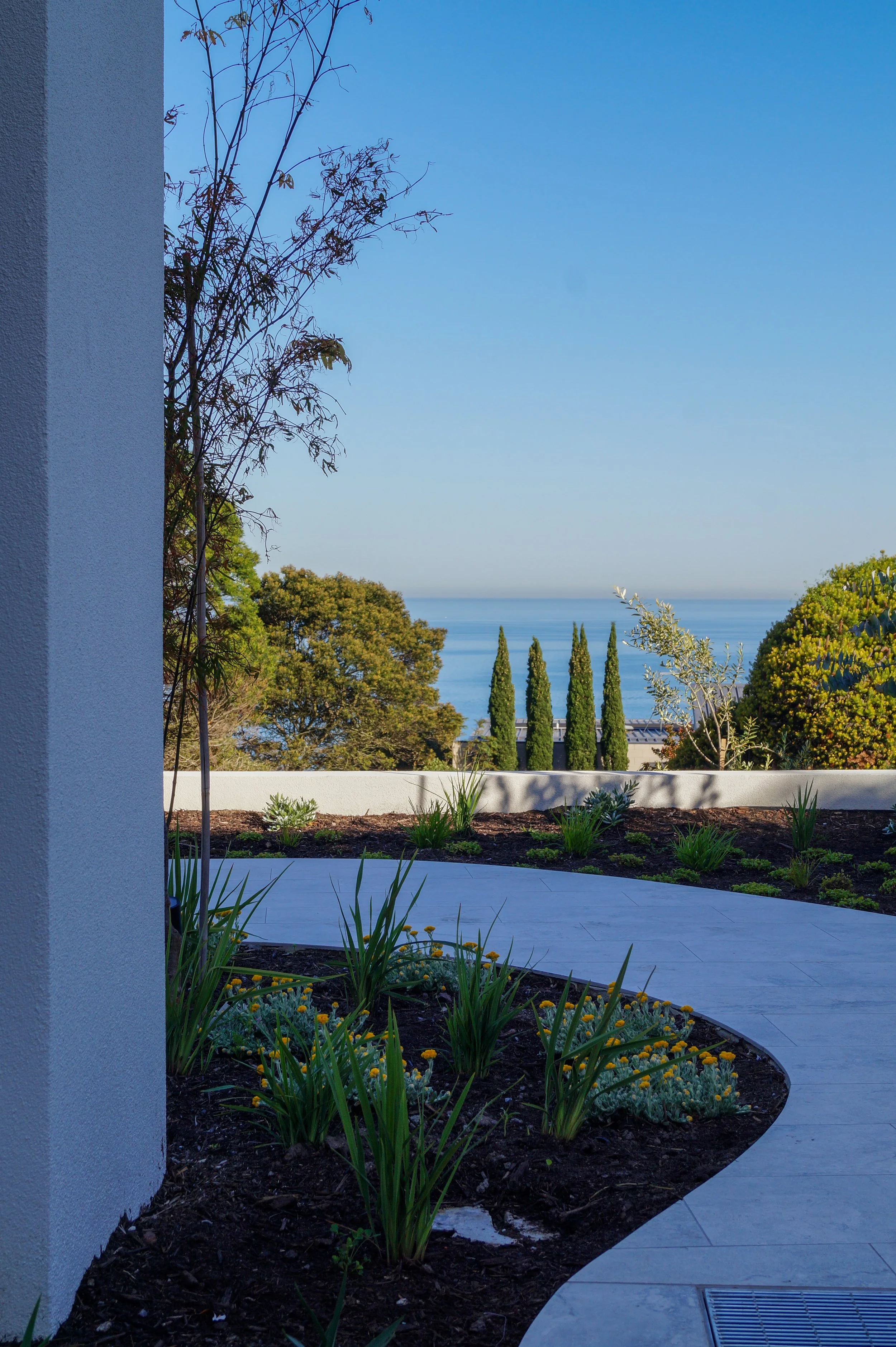 Mount Martha Photos Dec 2025-32.jpg