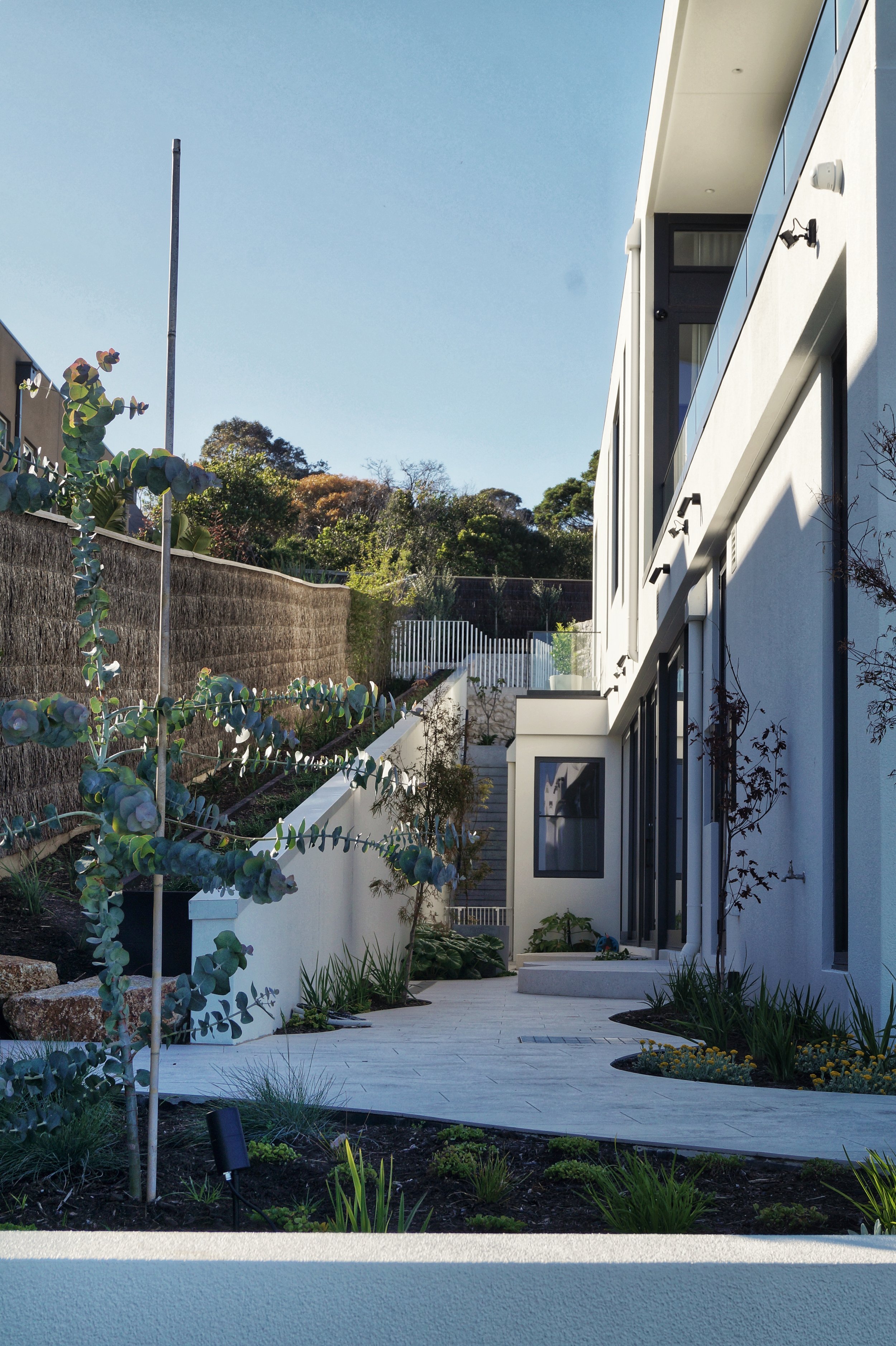 Mount Martha Photos Dec 2025-30.jpg