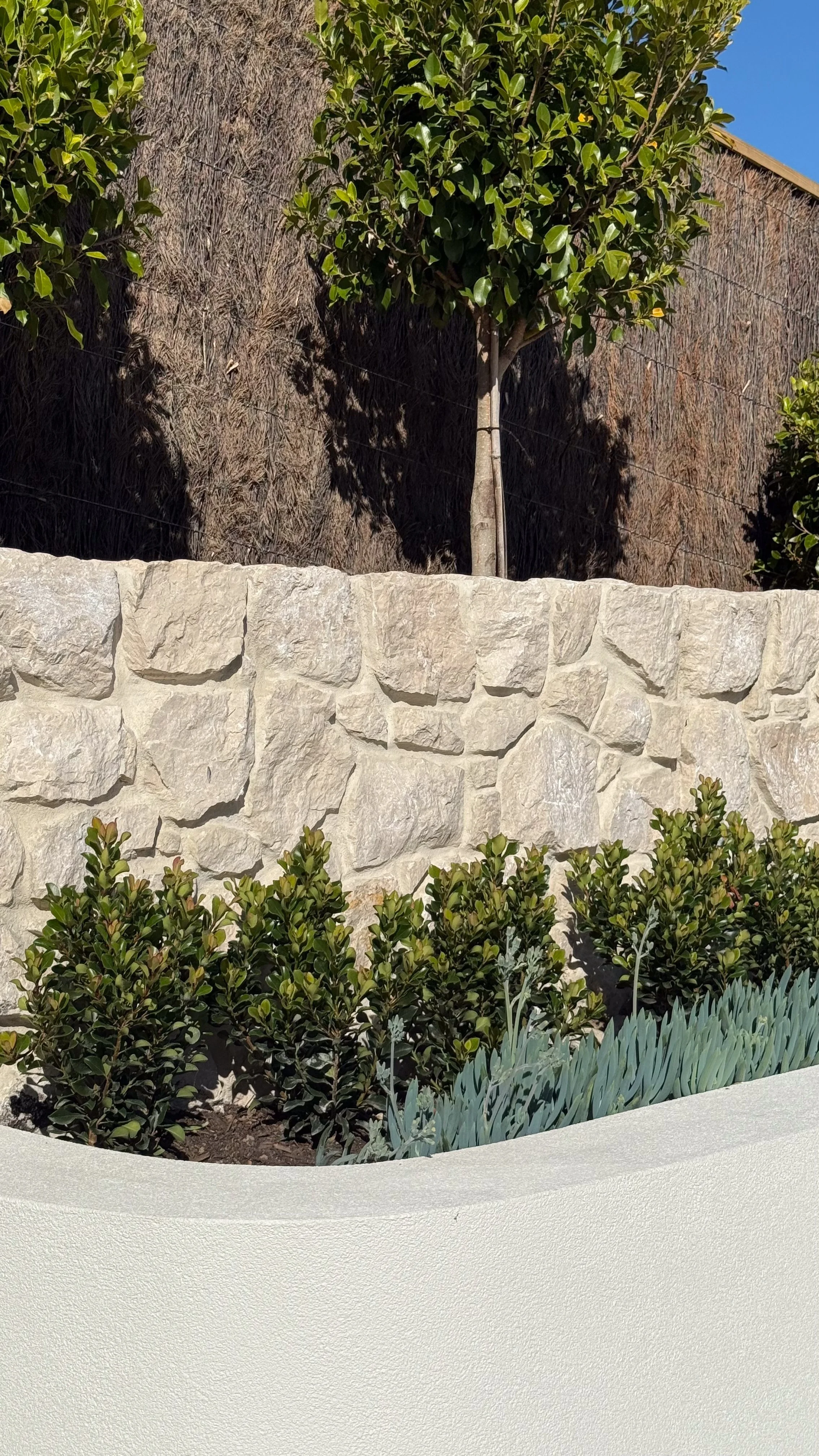 Mount Martha Photos Dec 2025-12.jpg