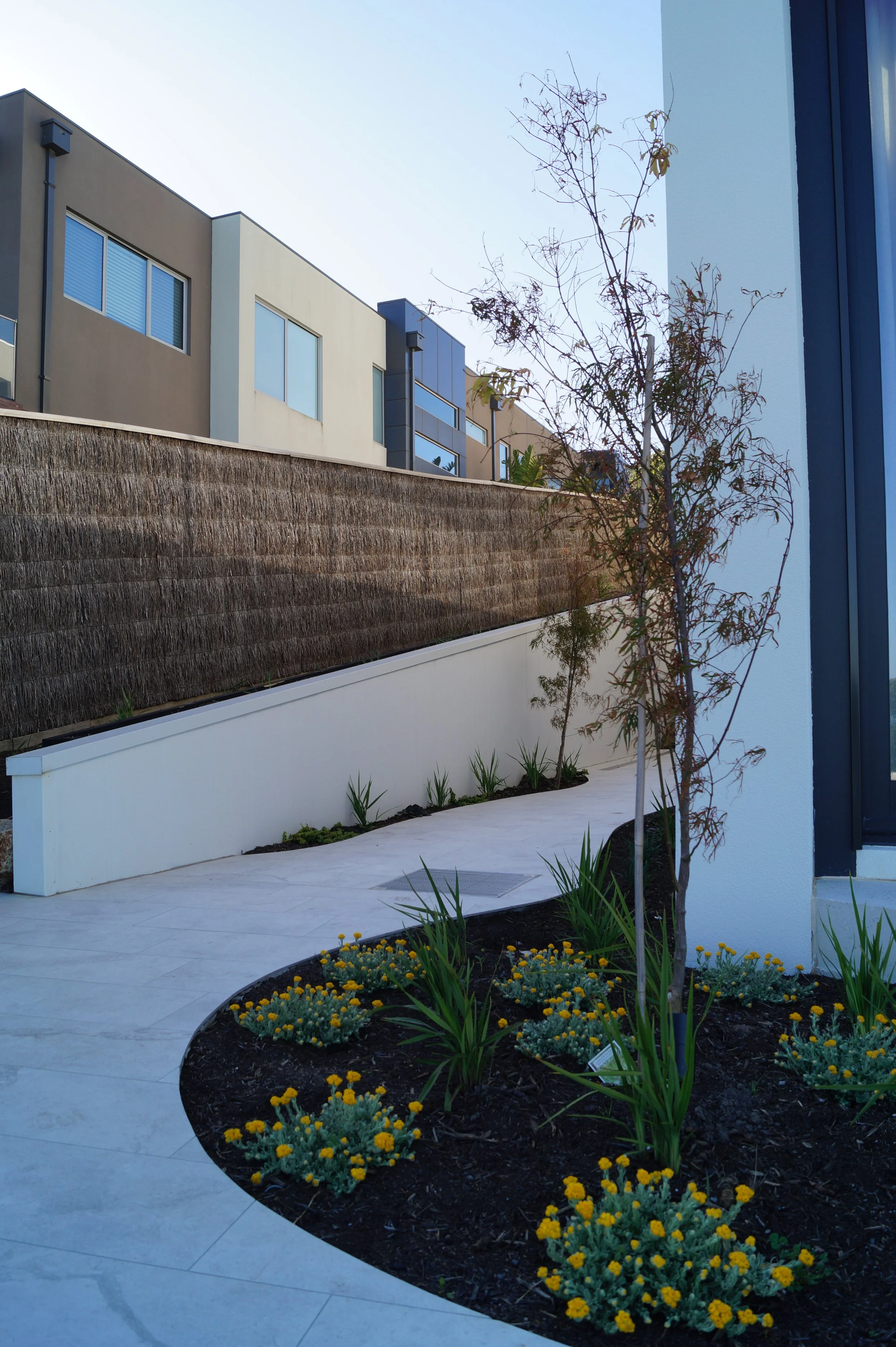 Mount Martha Photos Dec 2025-34.jpg