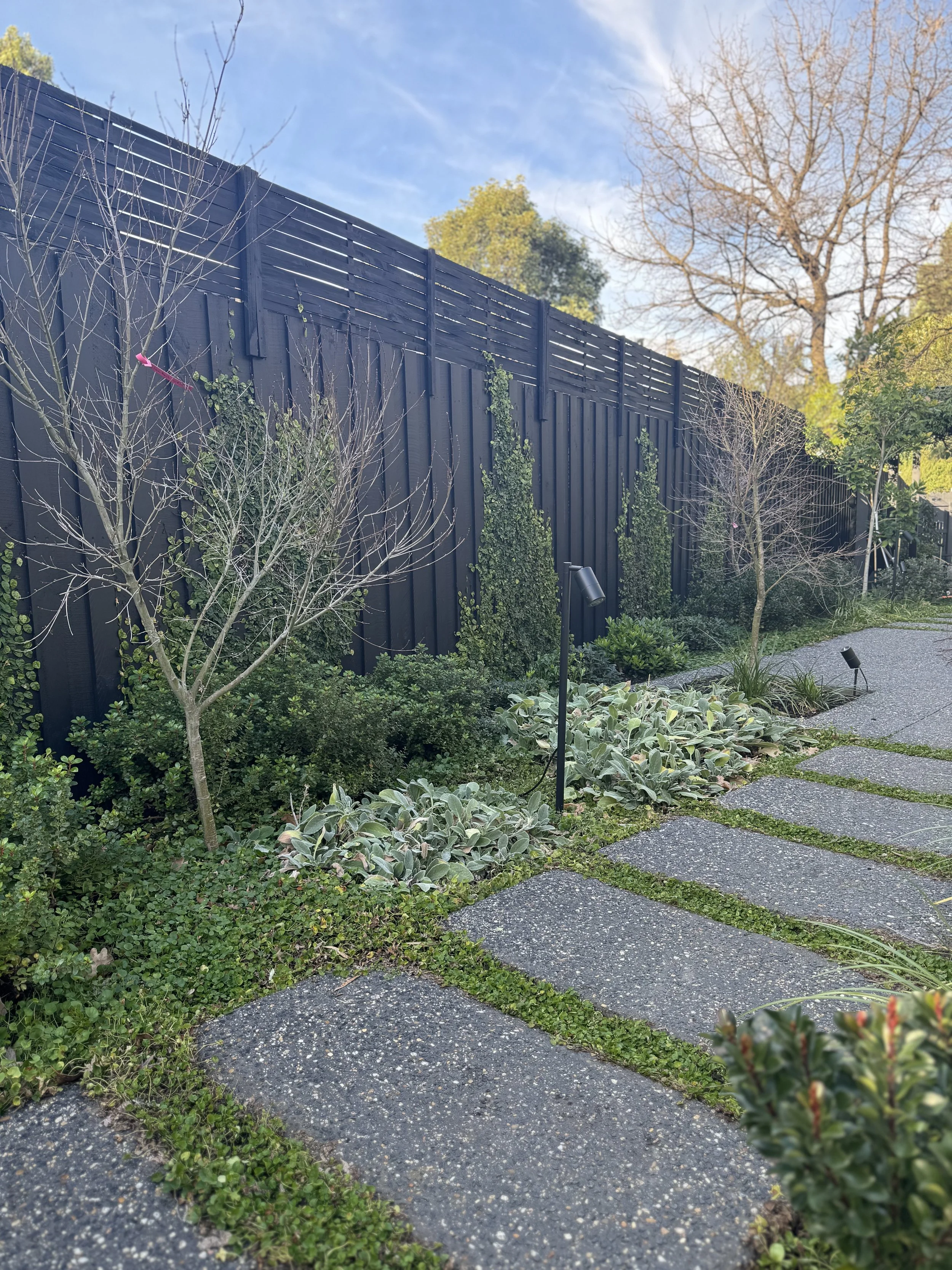 JWT Landscape Construction. Melbourne Based Landscaper. Melbourne Gardener. Melbourne Softscape.