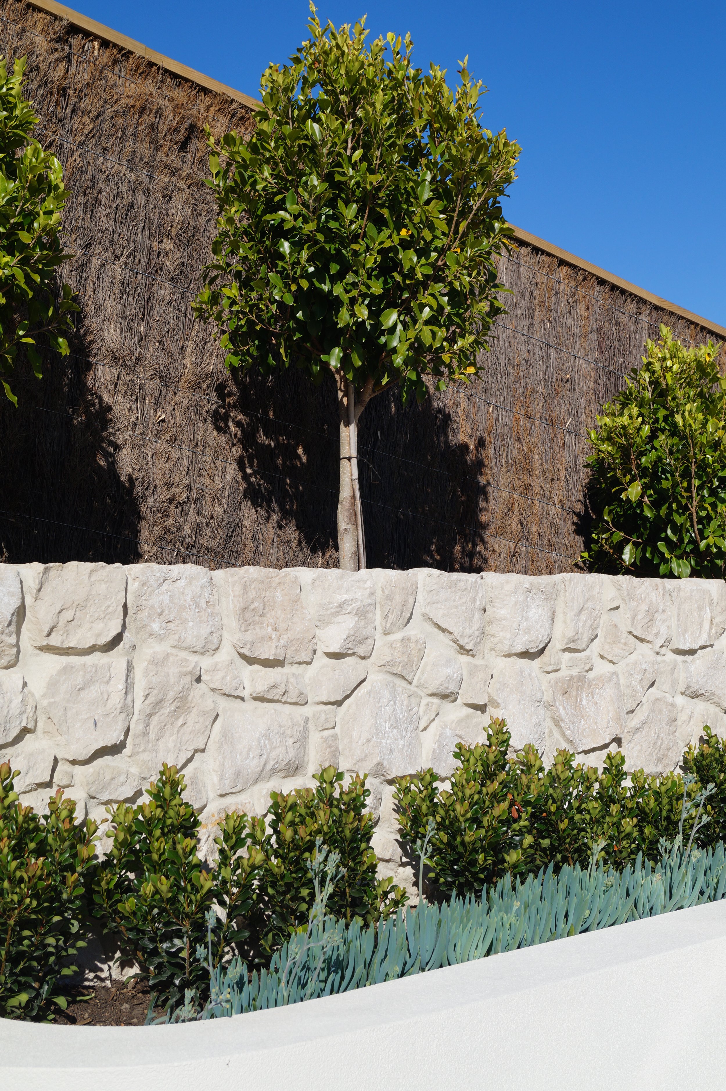 Mount Martha Photos Dec 2025-23.jpg