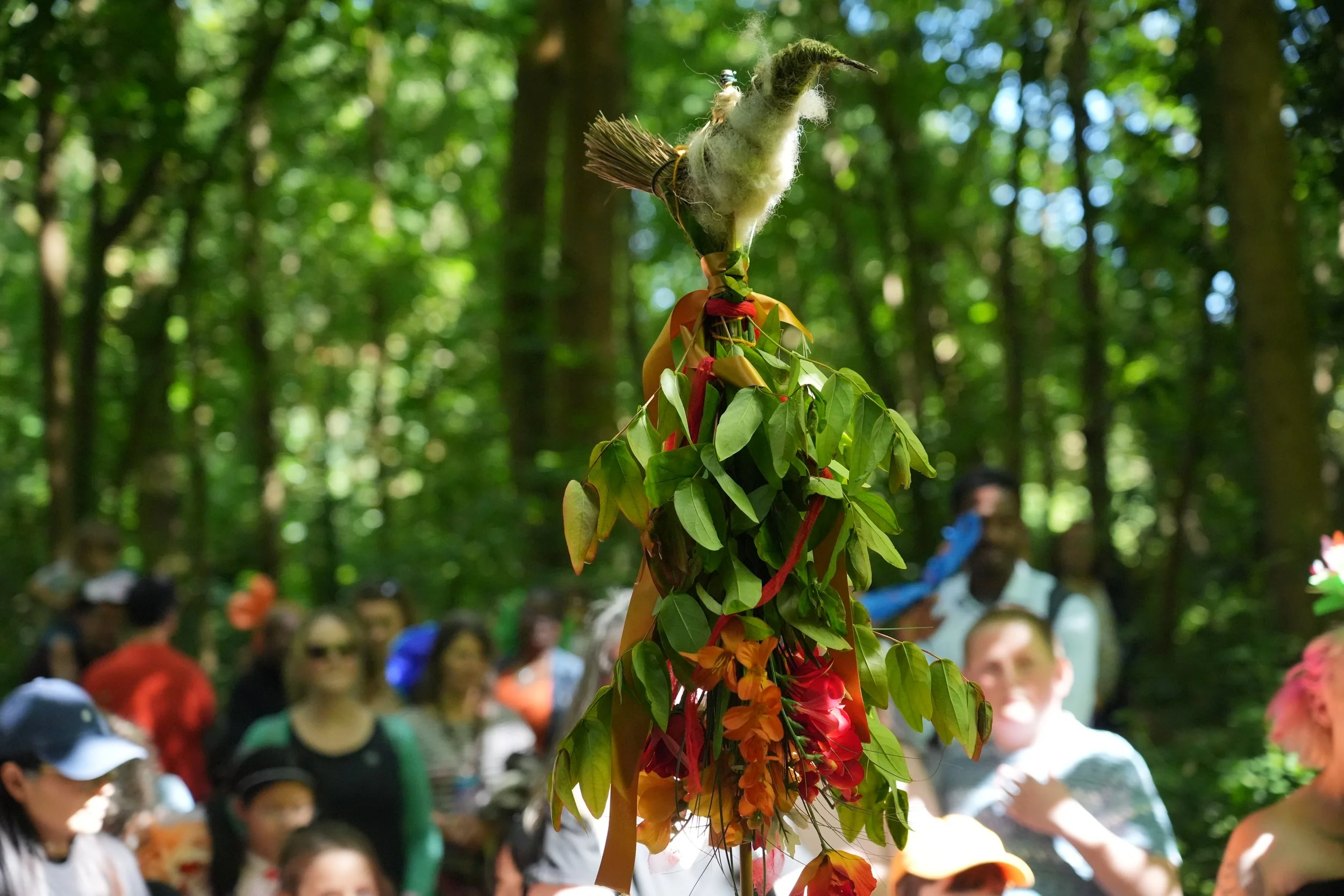 tvt solstice bird credit Talbot Village Trust.JPG