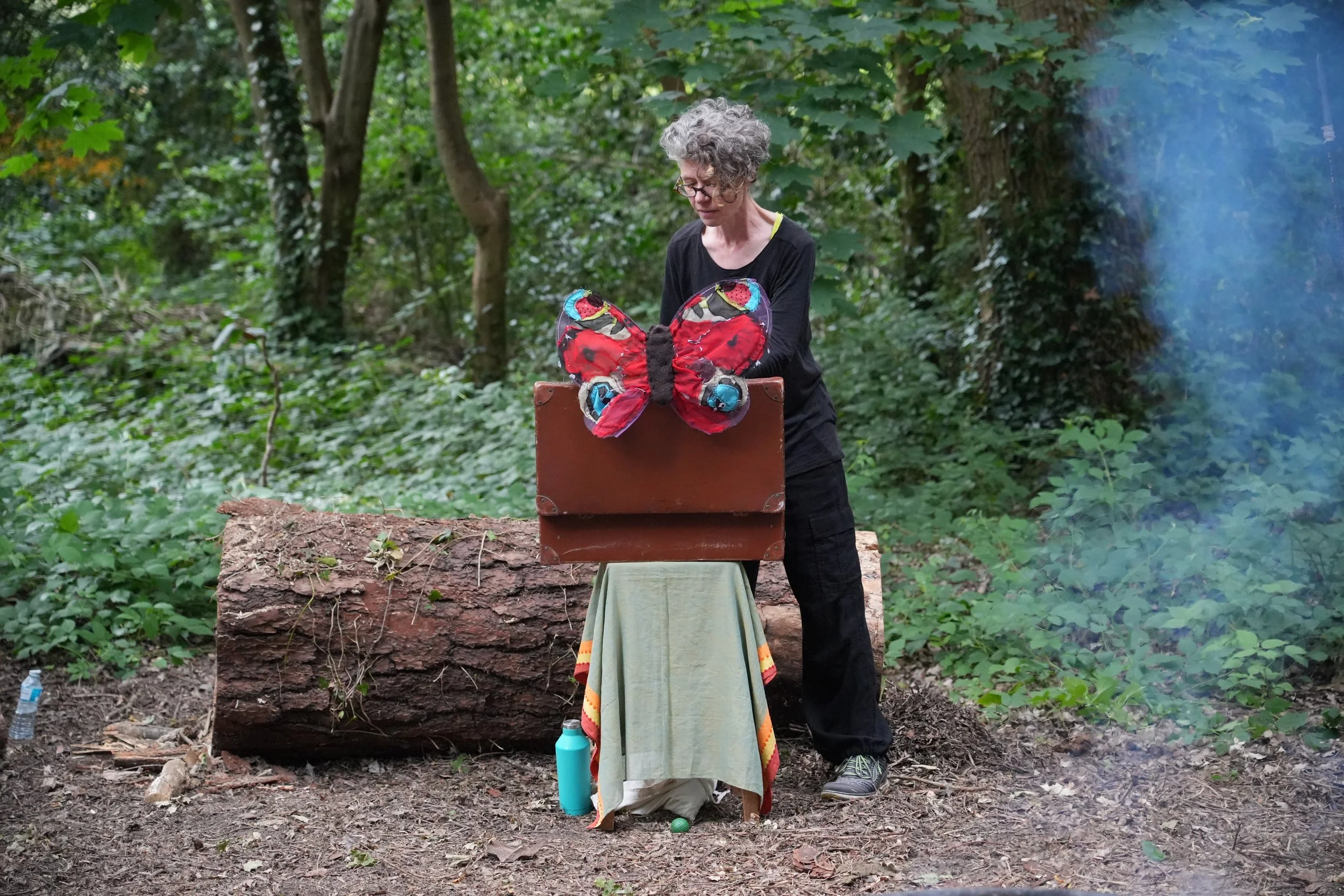 tvt butterfly credit Talbot Village Trust.JPG