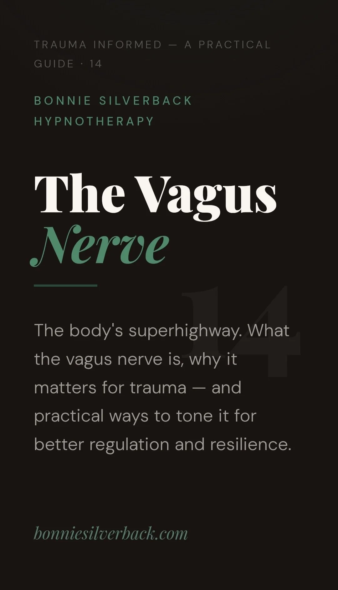 The Vagus Nerve.jpg