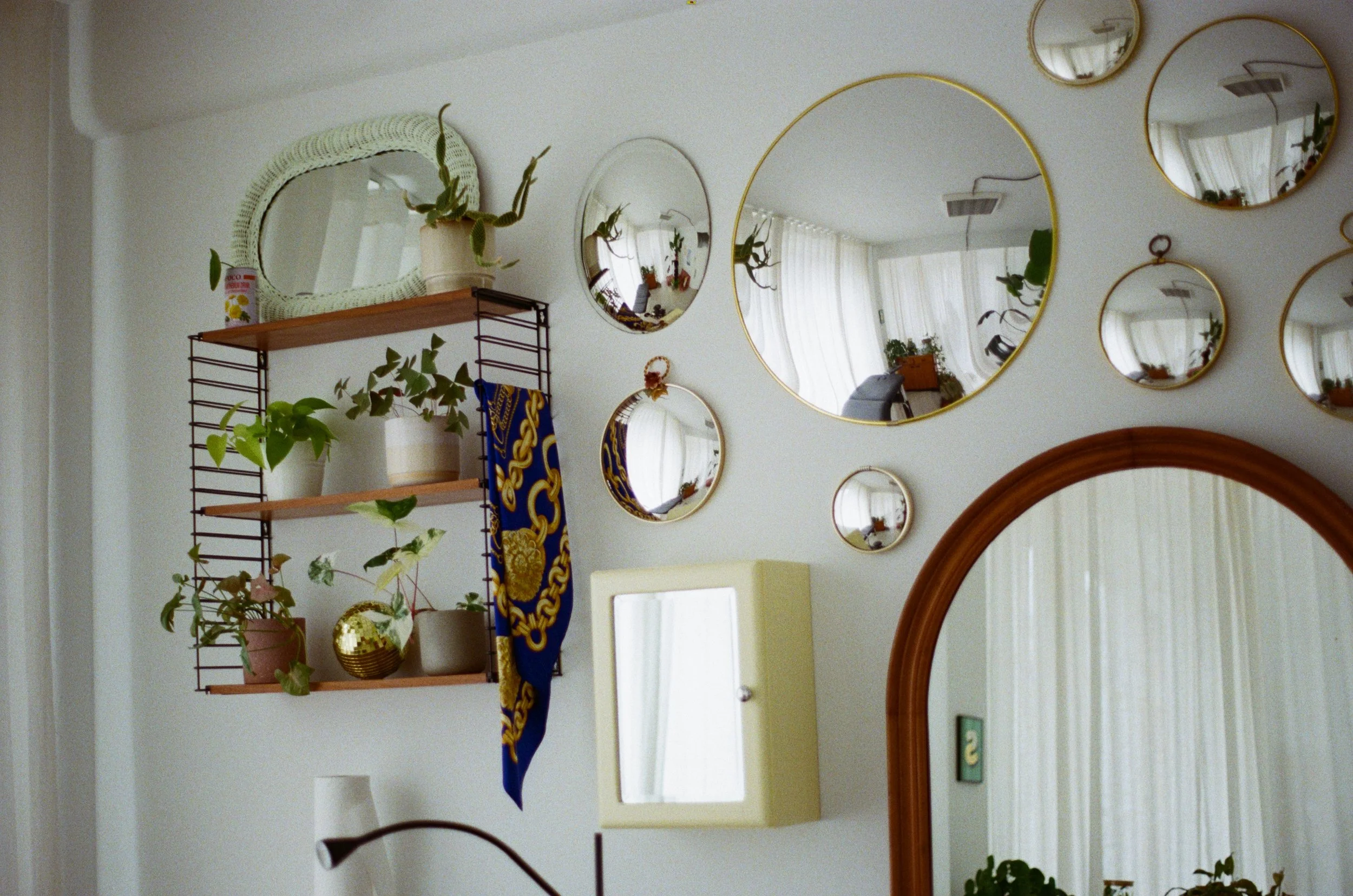 Miroirs et étagères avec plantes dans un studio respectueux et bienveillant à Bruxelles