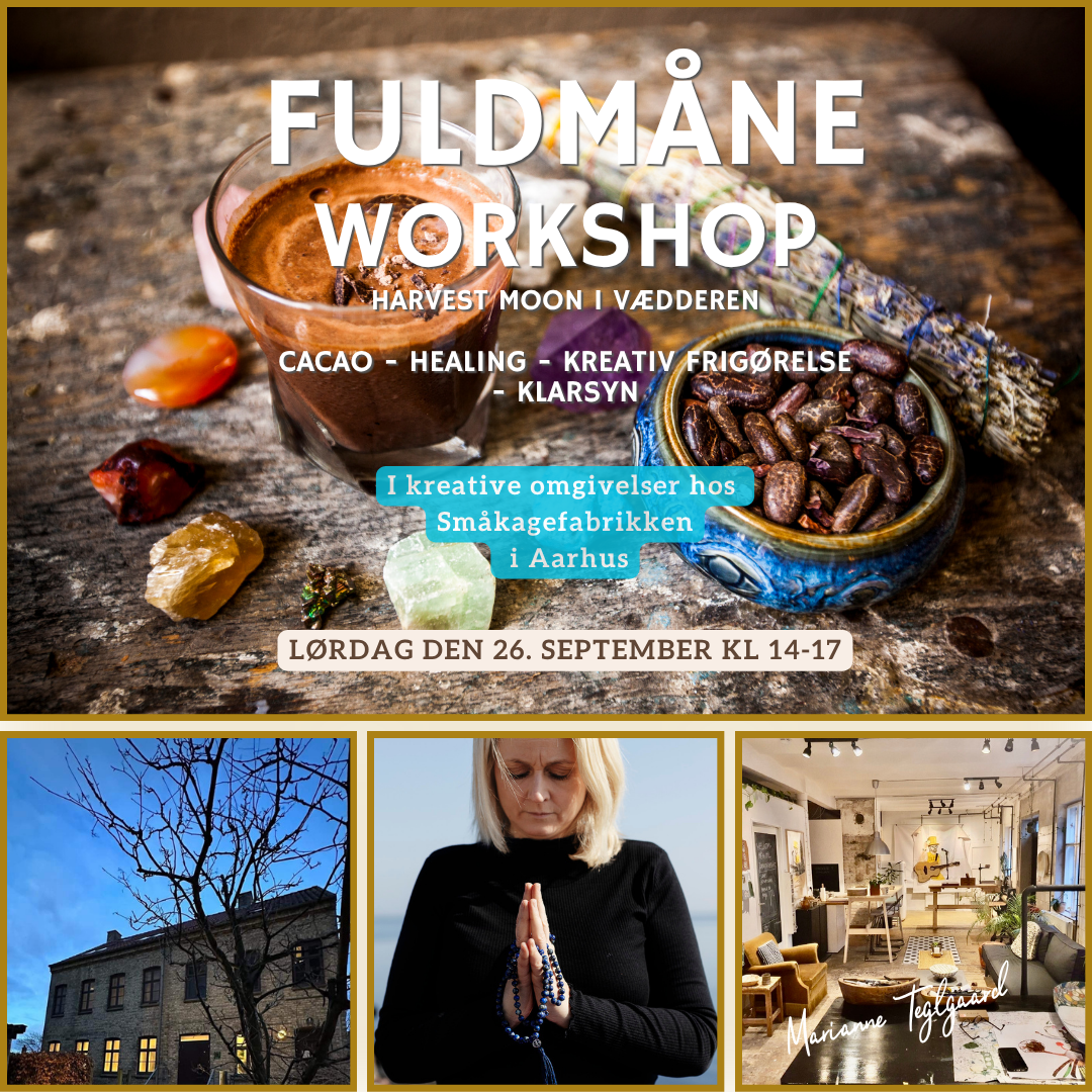 Fuldmåne Workshop