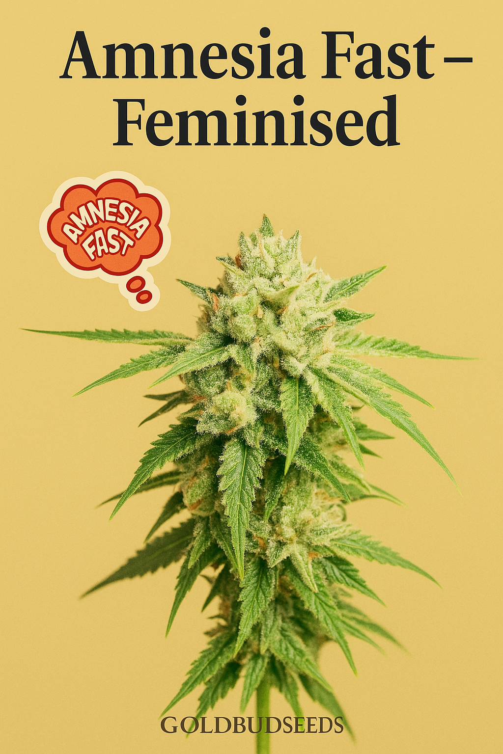 Amnesia Fast Bud ve Yalnızlık (1).png