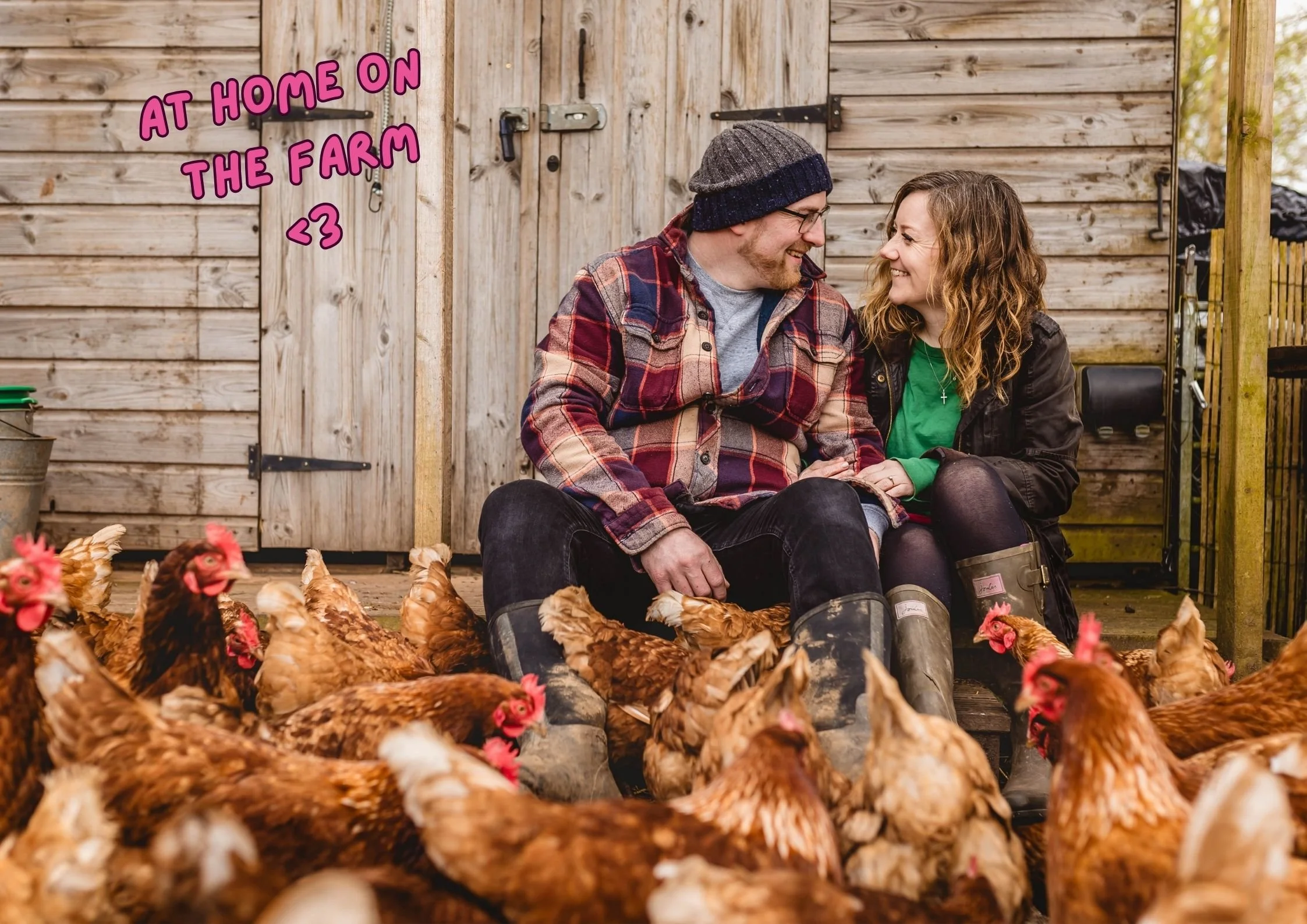 A MAN AND WOMAN SIT TOGETHER SMILING ON A FARM SURROUNDED BY LOTS OF BROWN SPECKLED HENS