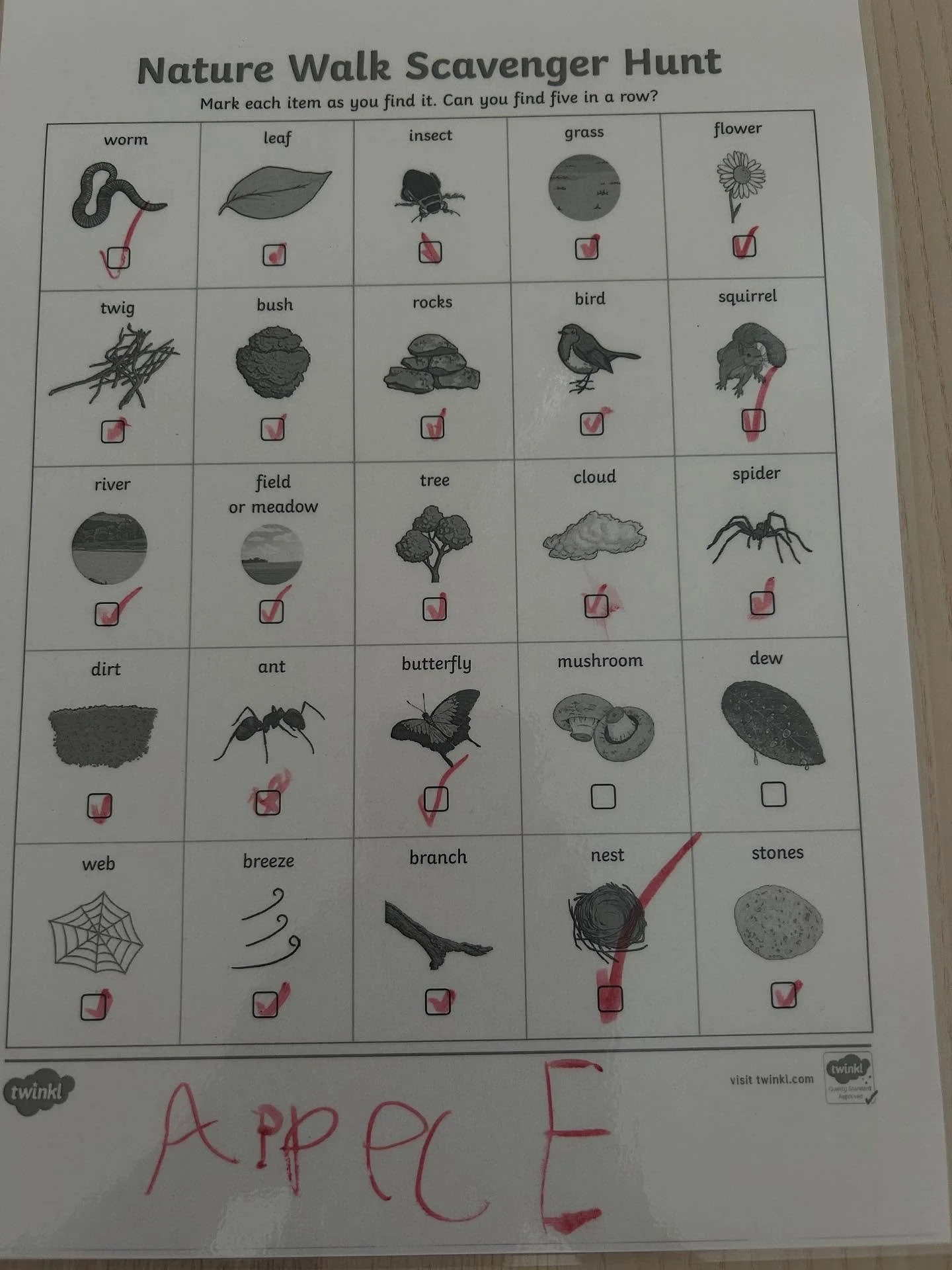Learning vocabulary while walking around in this amazing fall weather. Learning English made fun! We saw a mice&hellip; no squirrels #englischf&uuml;rkinder #brightfutureclubs