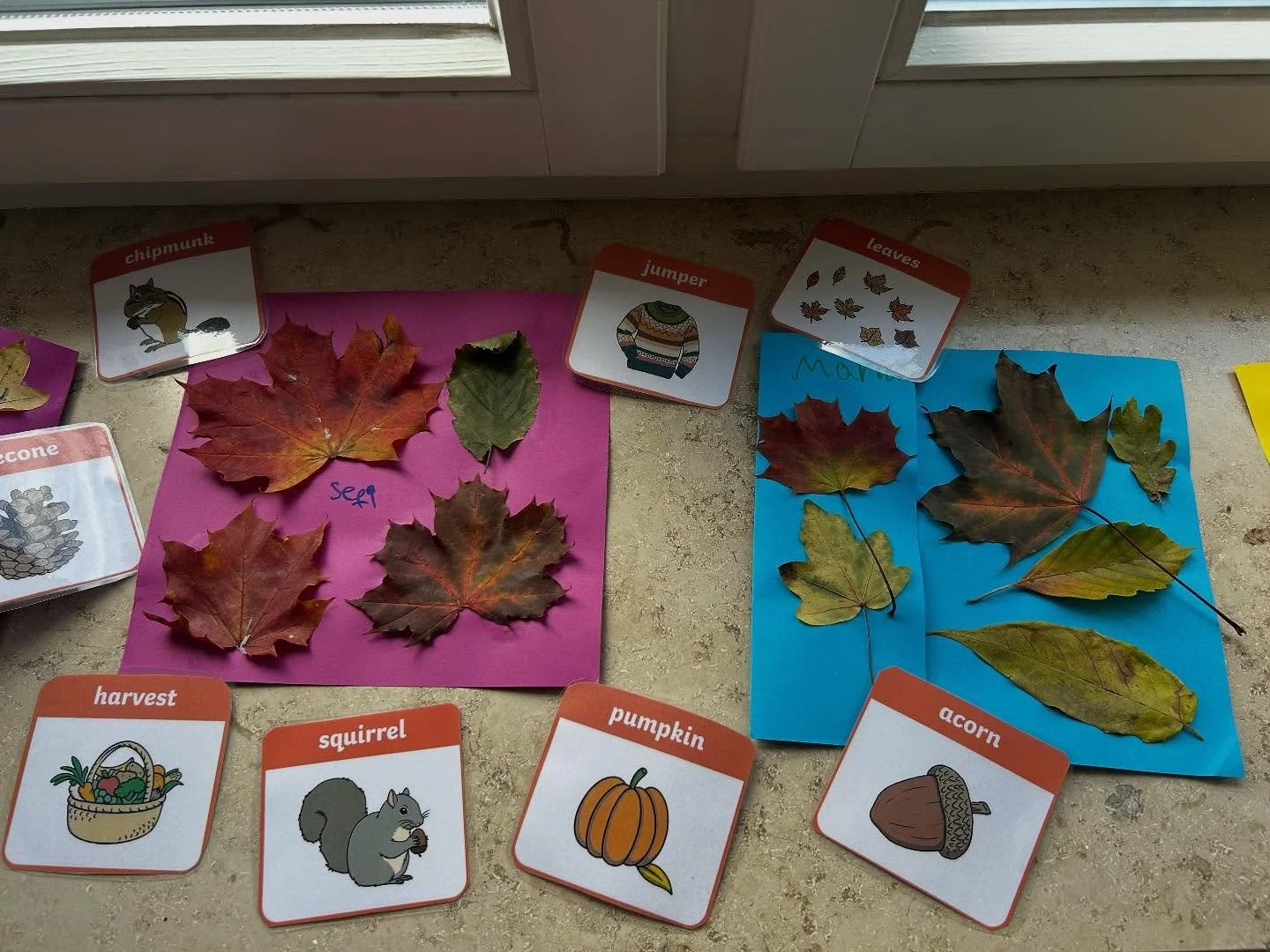 Fall colors and words to go&hellip; a perfect day to be outside! #brightfutureclubs #englischf&uuml;rkinder