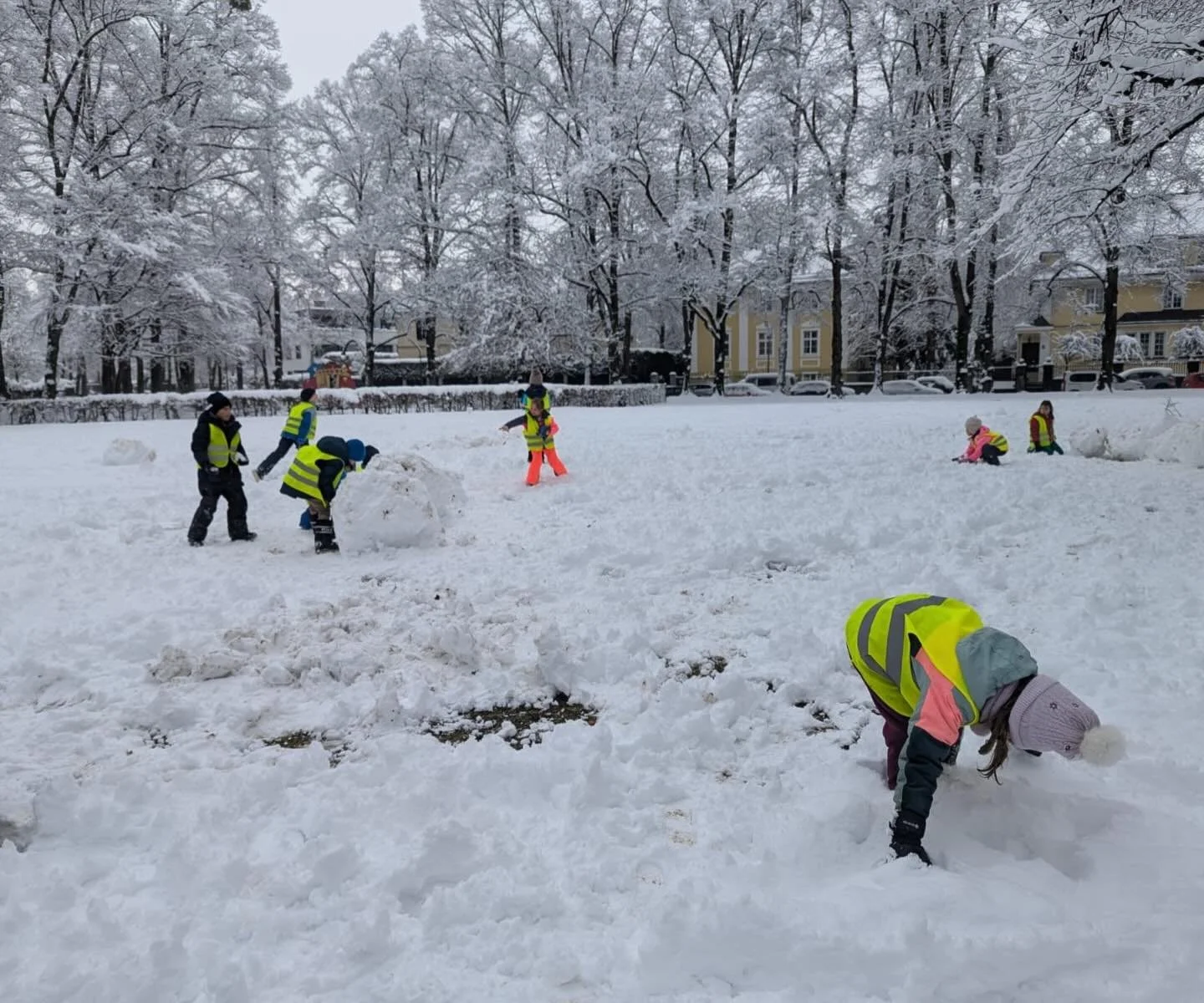 Snow day!!! Fun in the snow for last day of camp! Thanks for joining us this week! #brightfutureclubs #englischf&uuml;rkinder