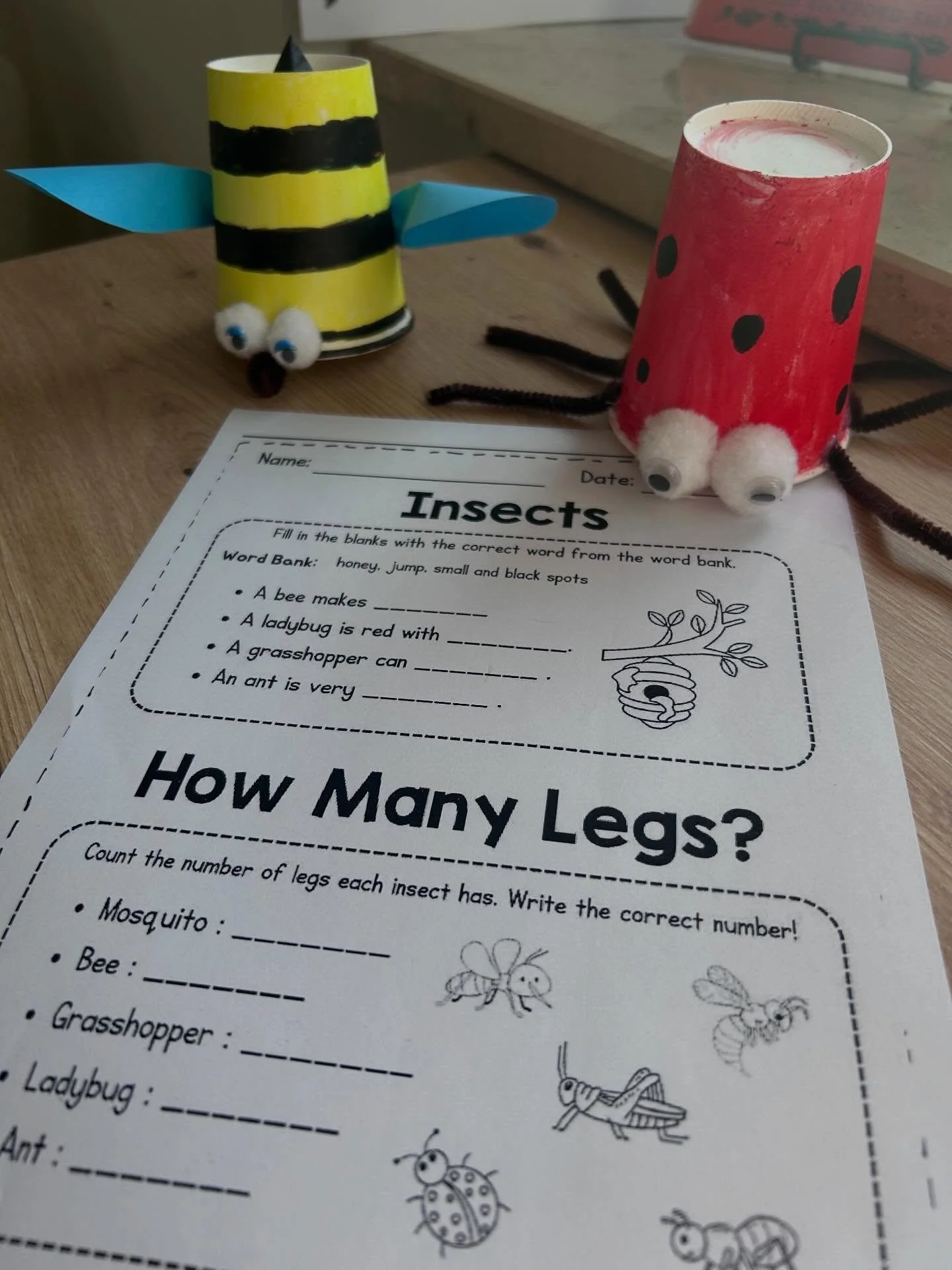 Bug week! Spring has sprung a little and we are going into this week with bugs!!! #englischf&uuml;rkinder #brightfutureclubs