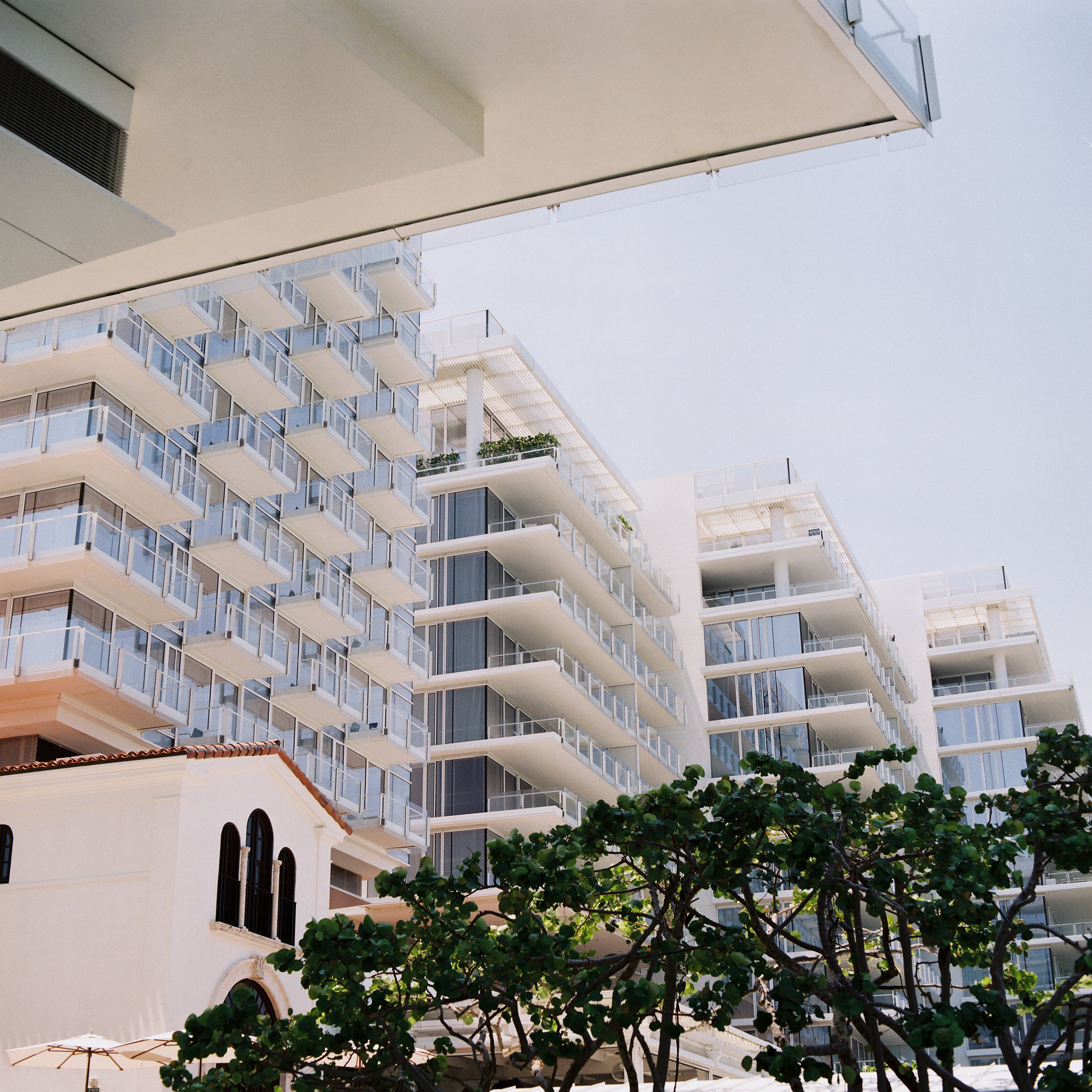 "Concrete Bloom'' circa, Miami