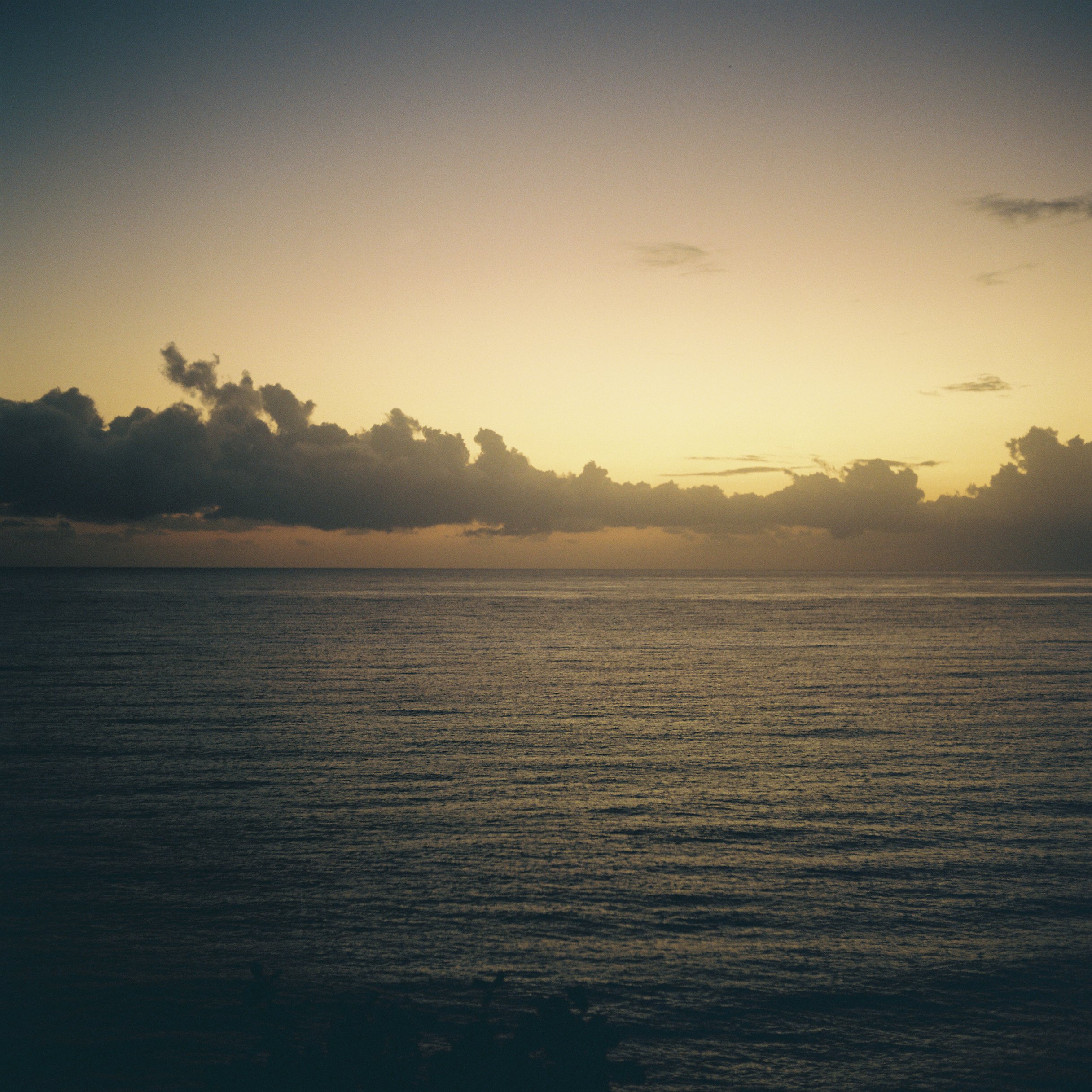 ''Afterhours'', circa Jamaica