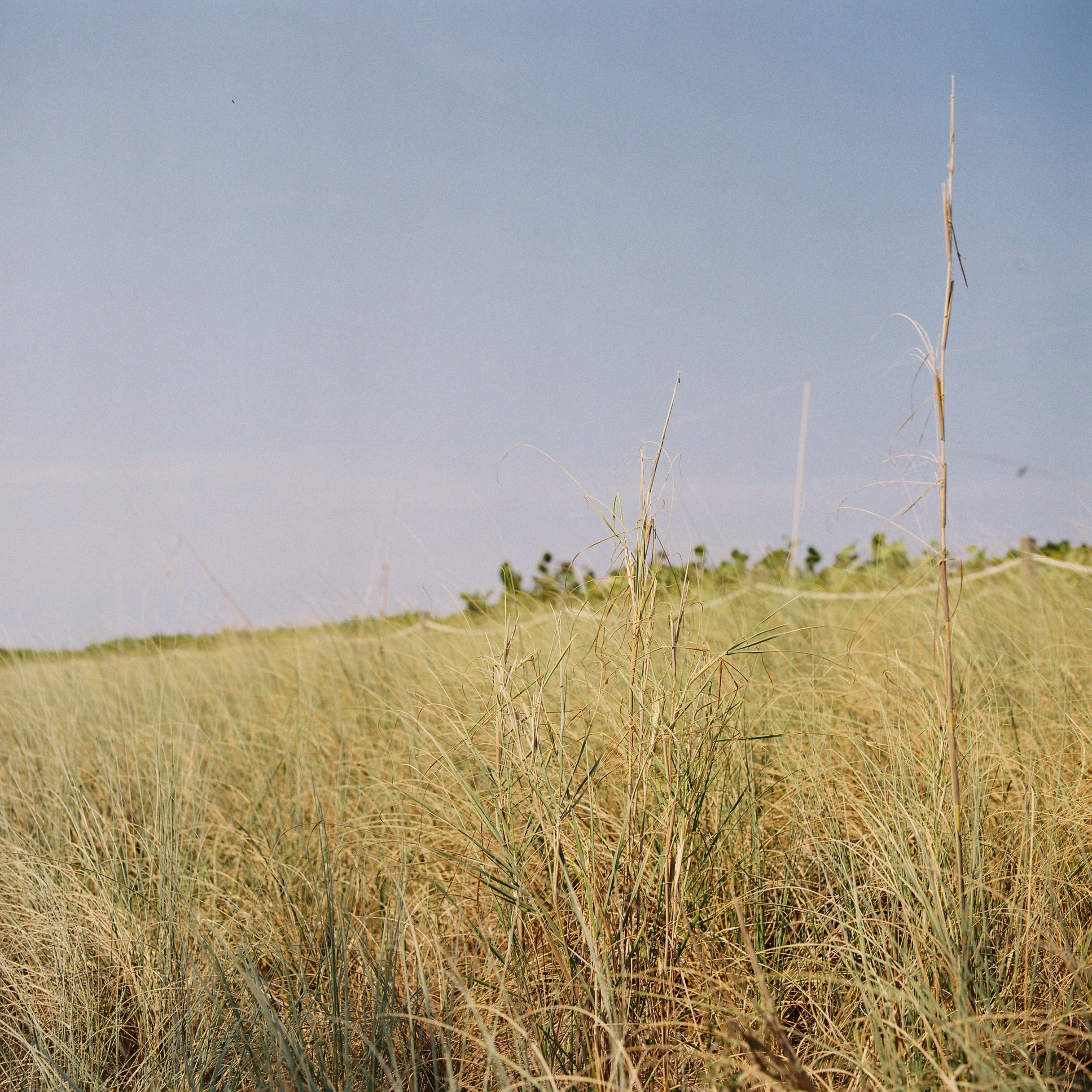 "Tierra Silente'', circa Miami
