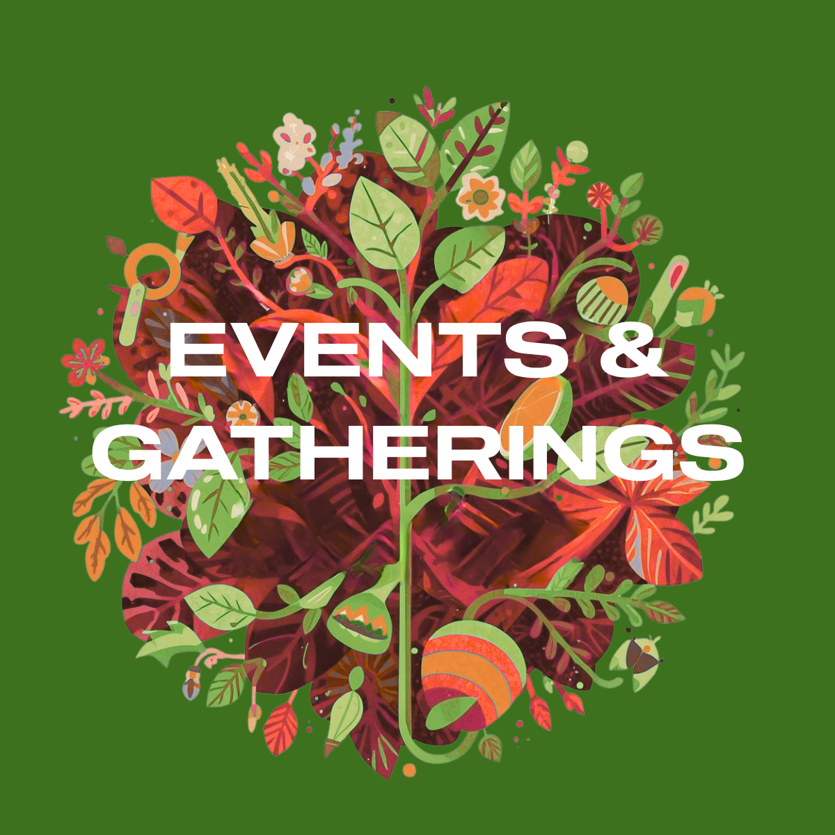 events.png