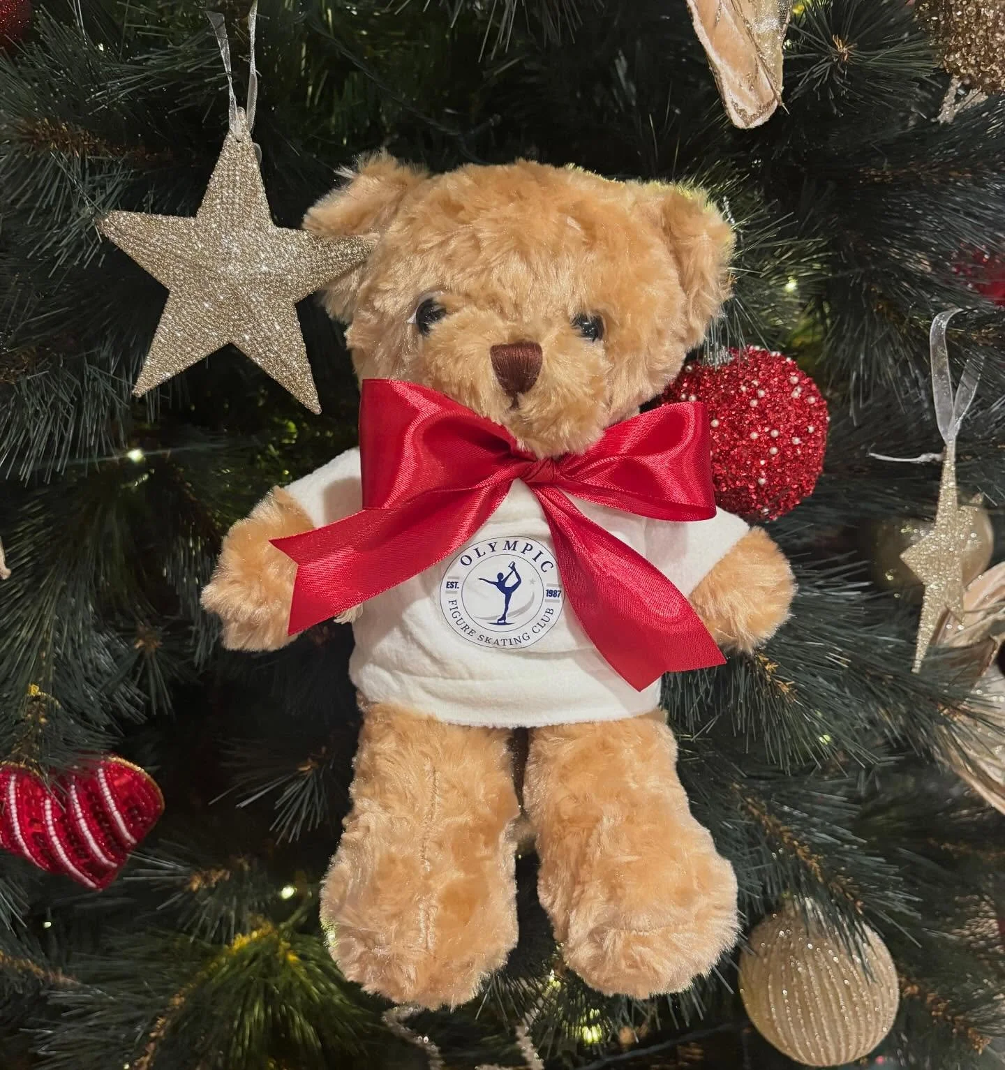 You can pick up one of our Oly Bears today at our end of year show!!! Tickets still available online or at the door ✨🤩⛸️ limited bears left ⛸️