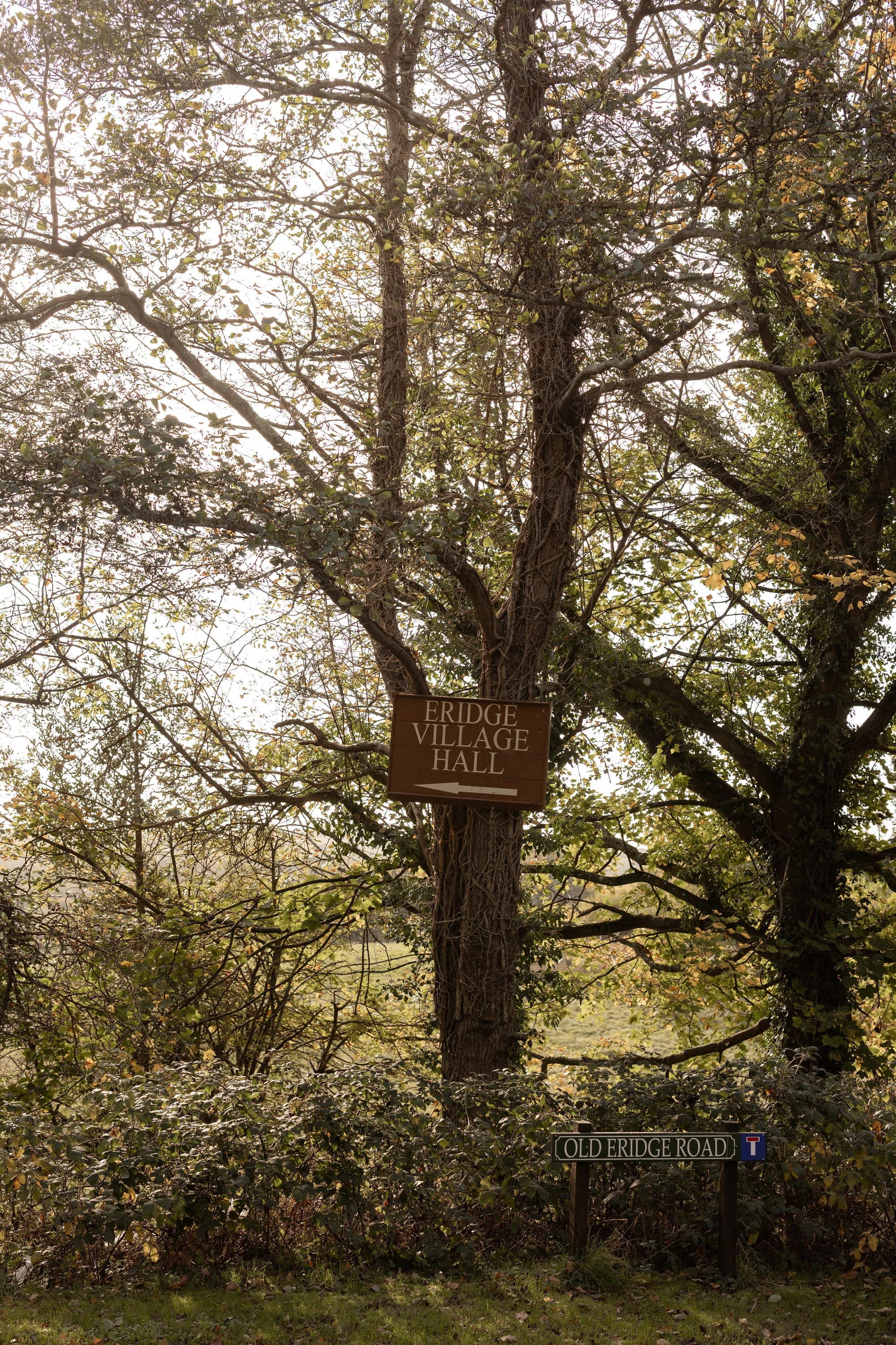 Eridge Village Hall_LottieTopping-8.jpg