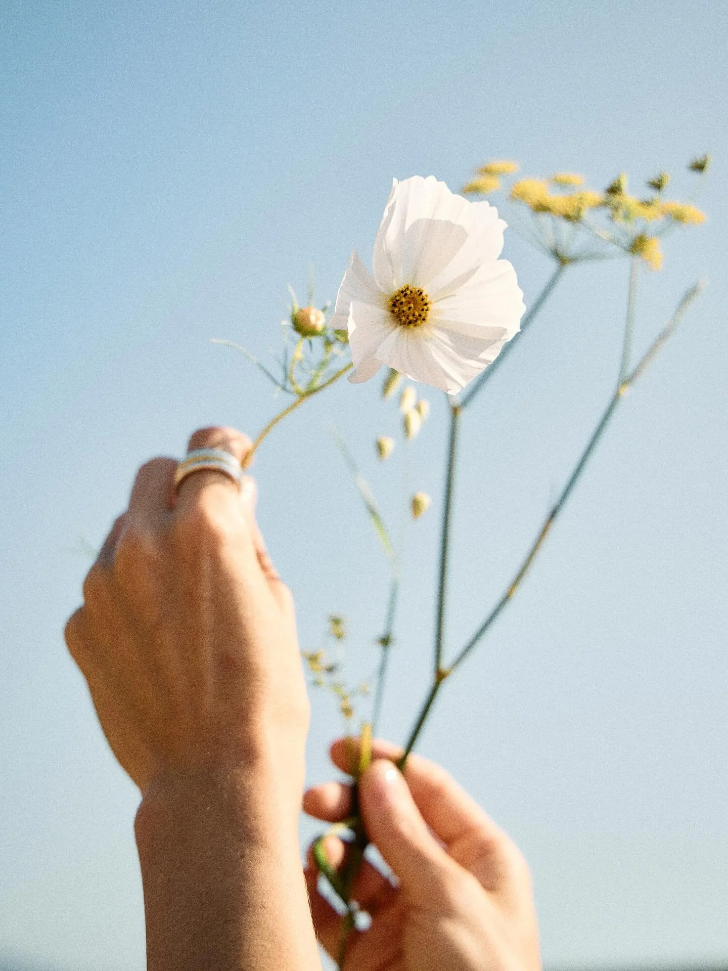 Calm moments at the beautiful @quintakismet 🌻