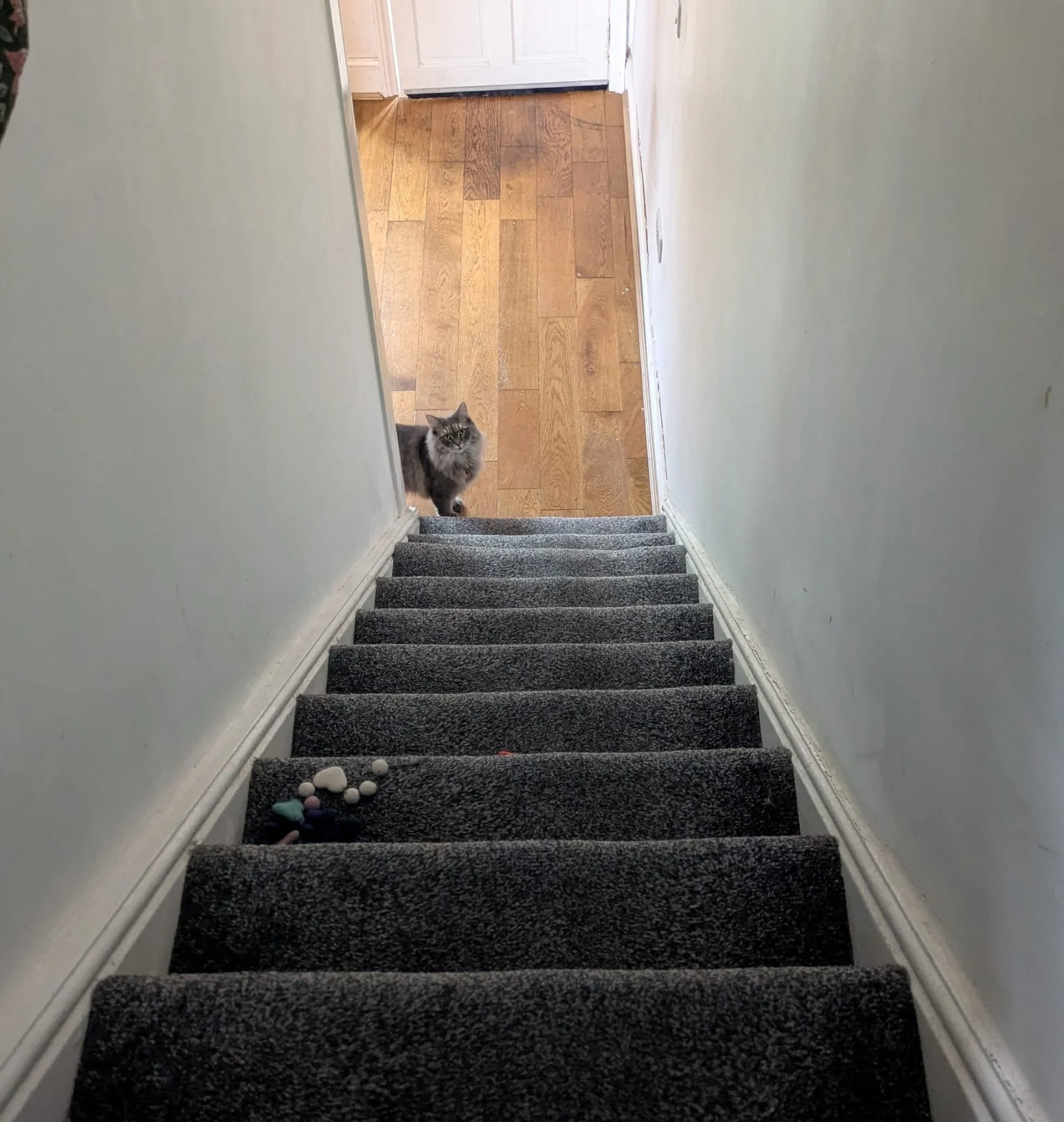 Peeking at Bottom of Stairs - April 2026.JPG