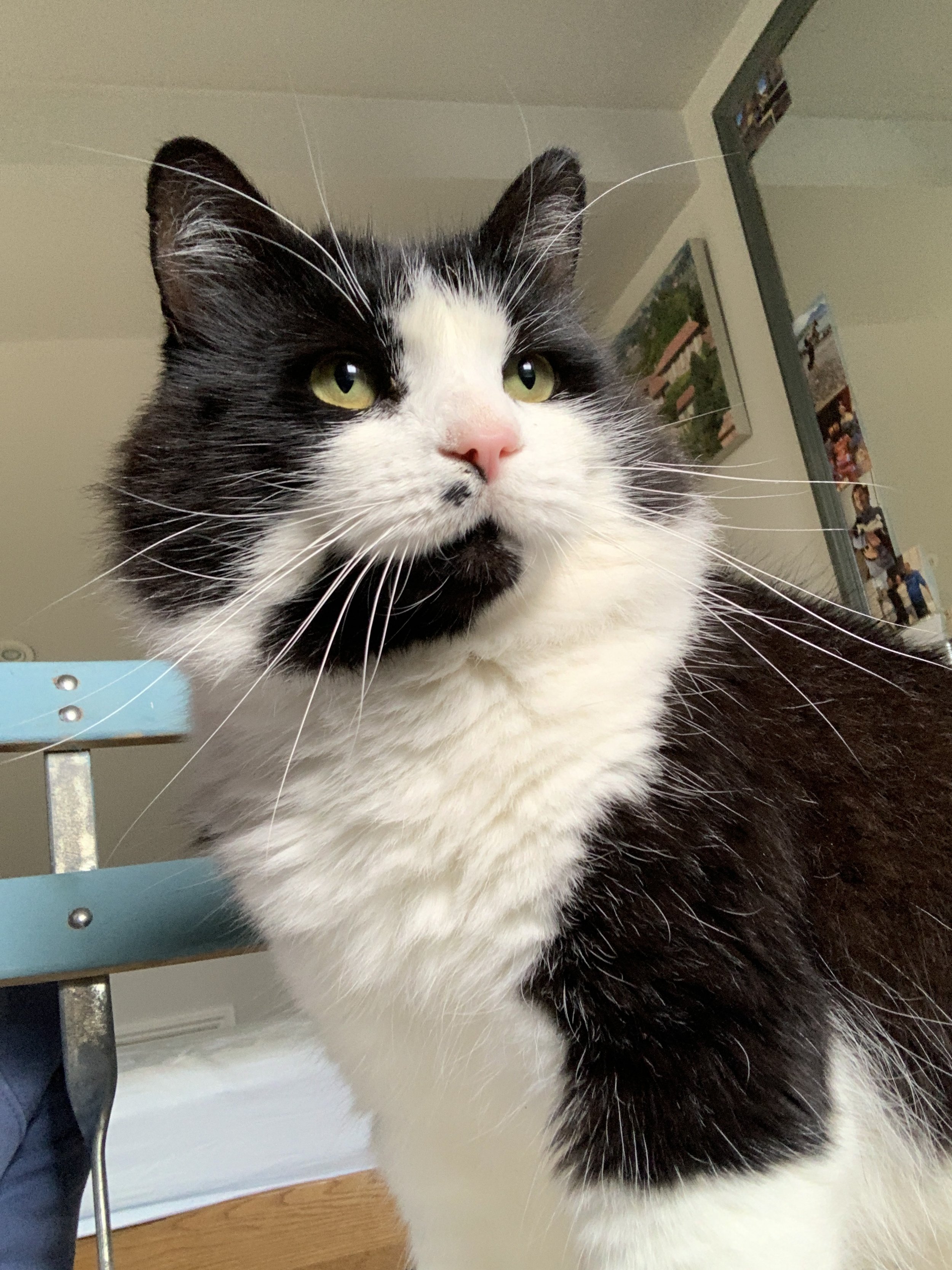 Monty November 2025 - Smouldering.JPG