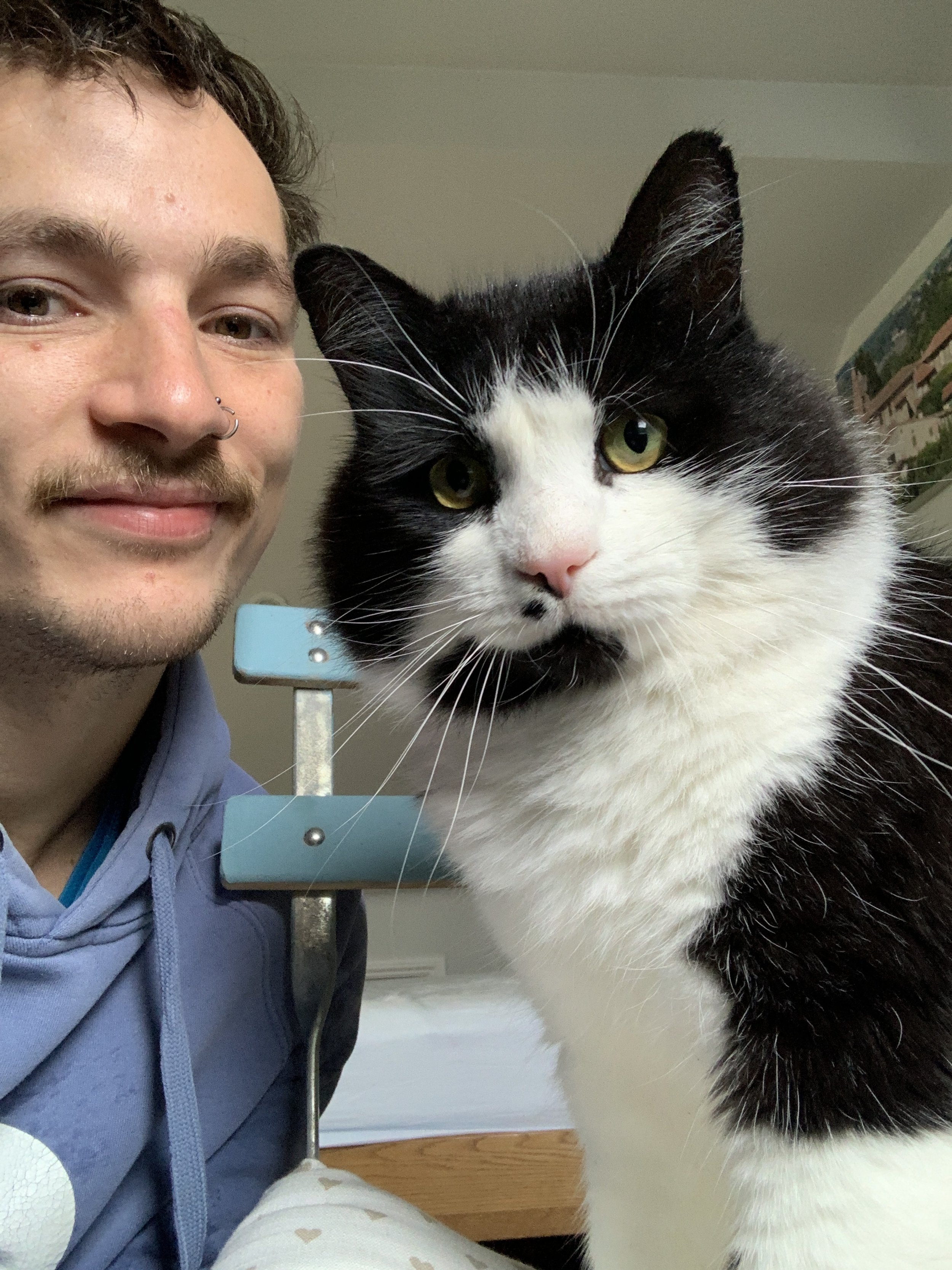 Monty November 2025 - looking gorgeous.JPG