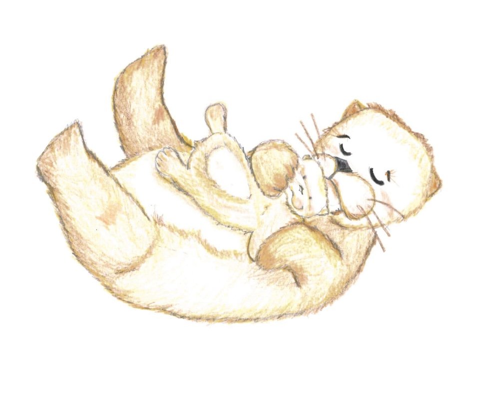 otter1.jpeg