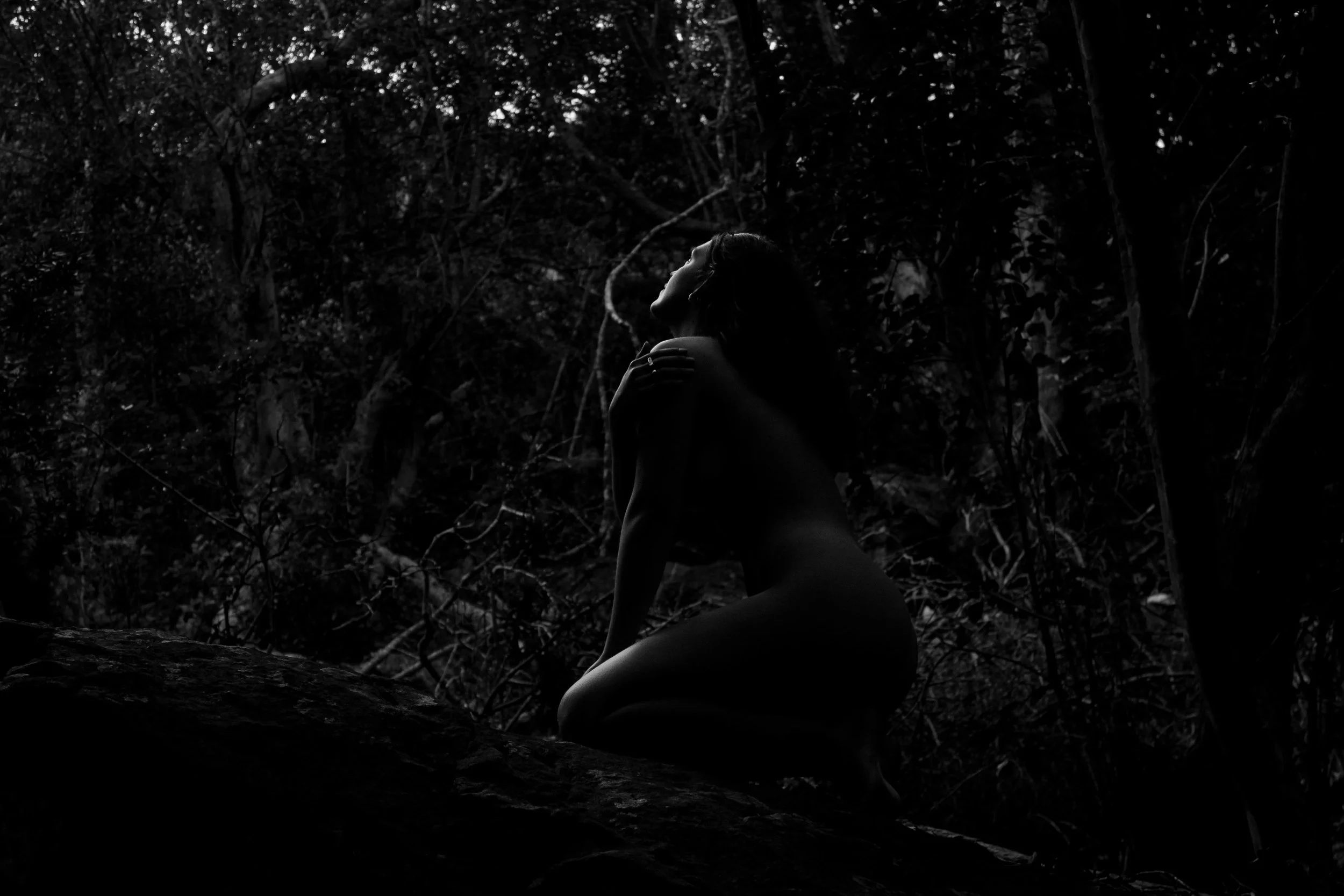 Amber in the forest.jpg