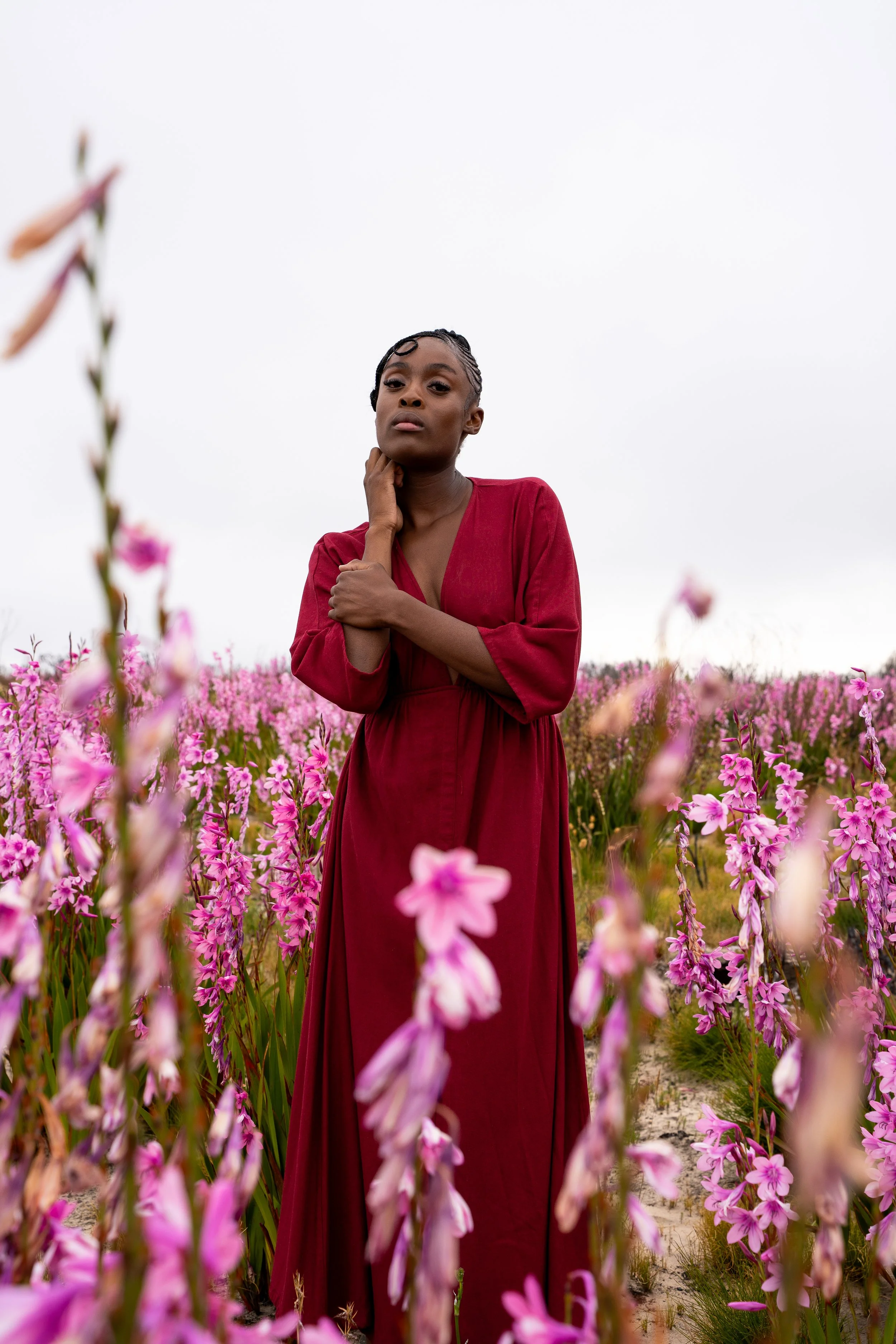 Abenath_tall_ flowers.jpg