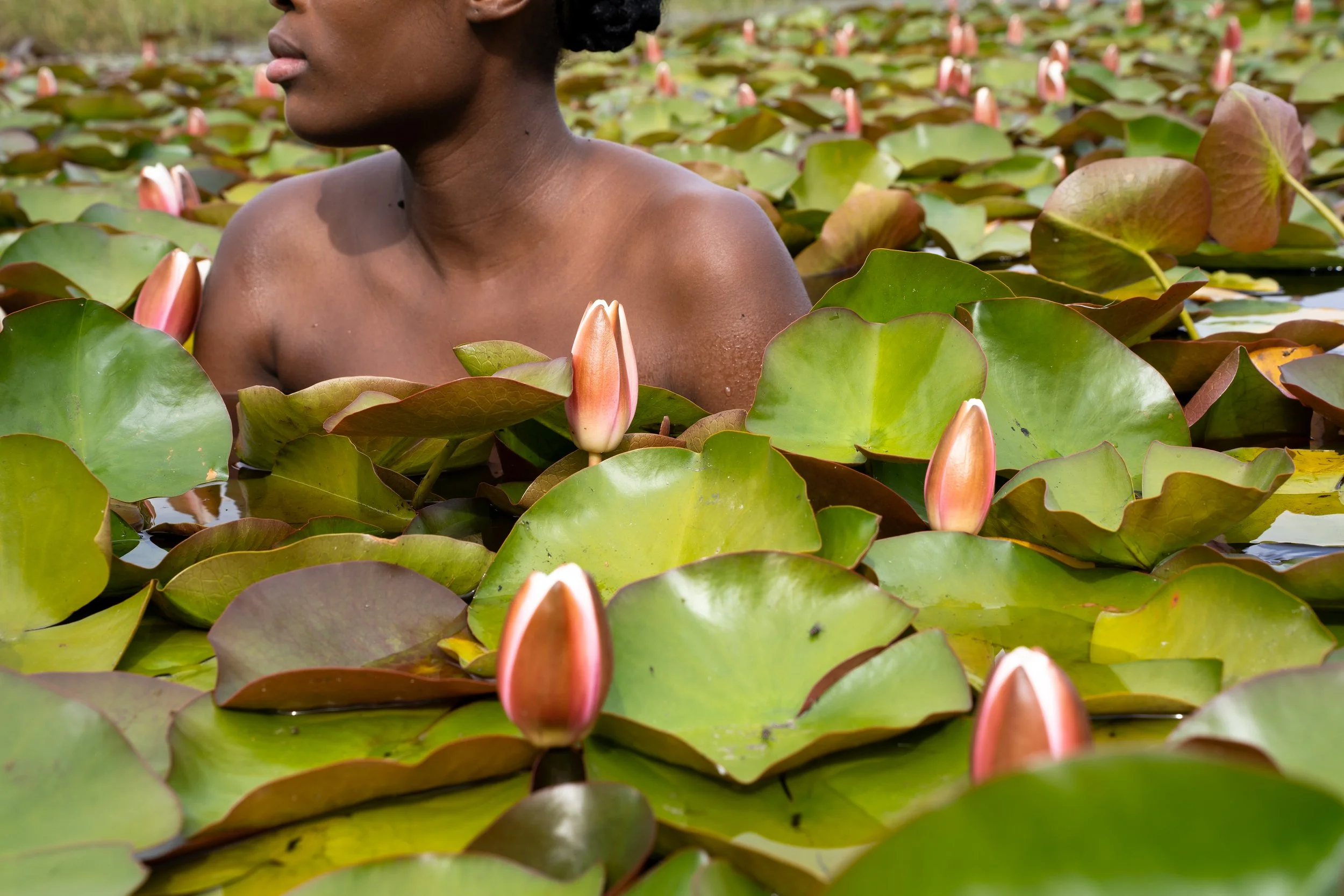 Between_Us_Abenathi_Silvermine_Dam_Water_Lilly.jpg