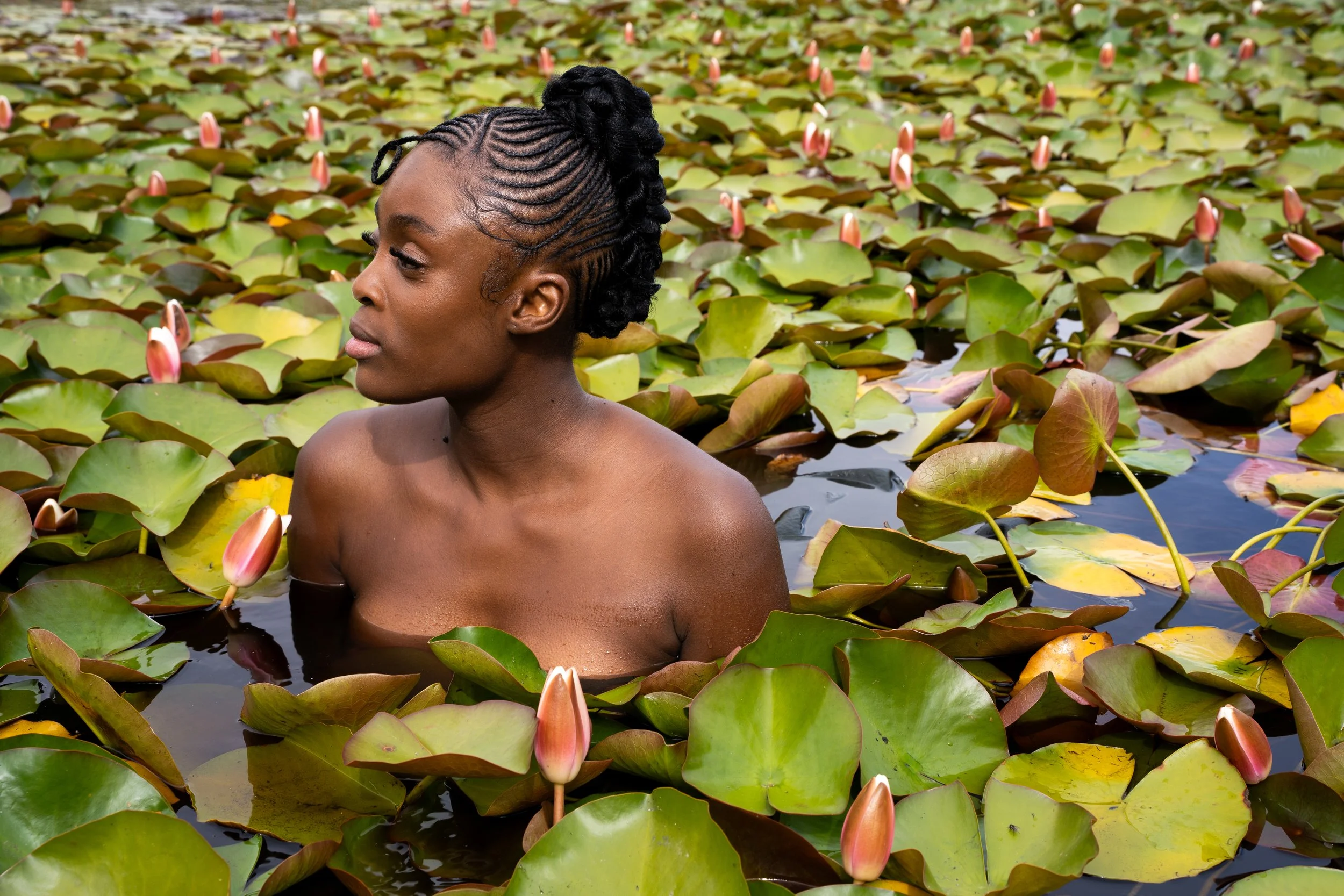 Between_Us_Abenathi_Silvermine_Water_Lilies.jpg