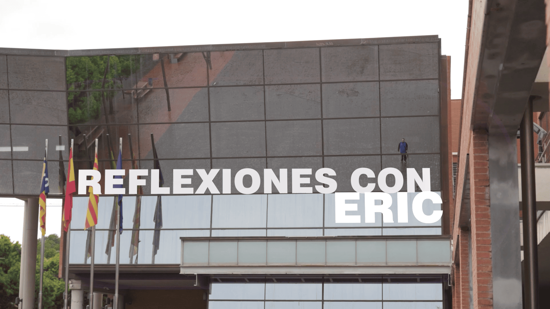 REFLEXIONES