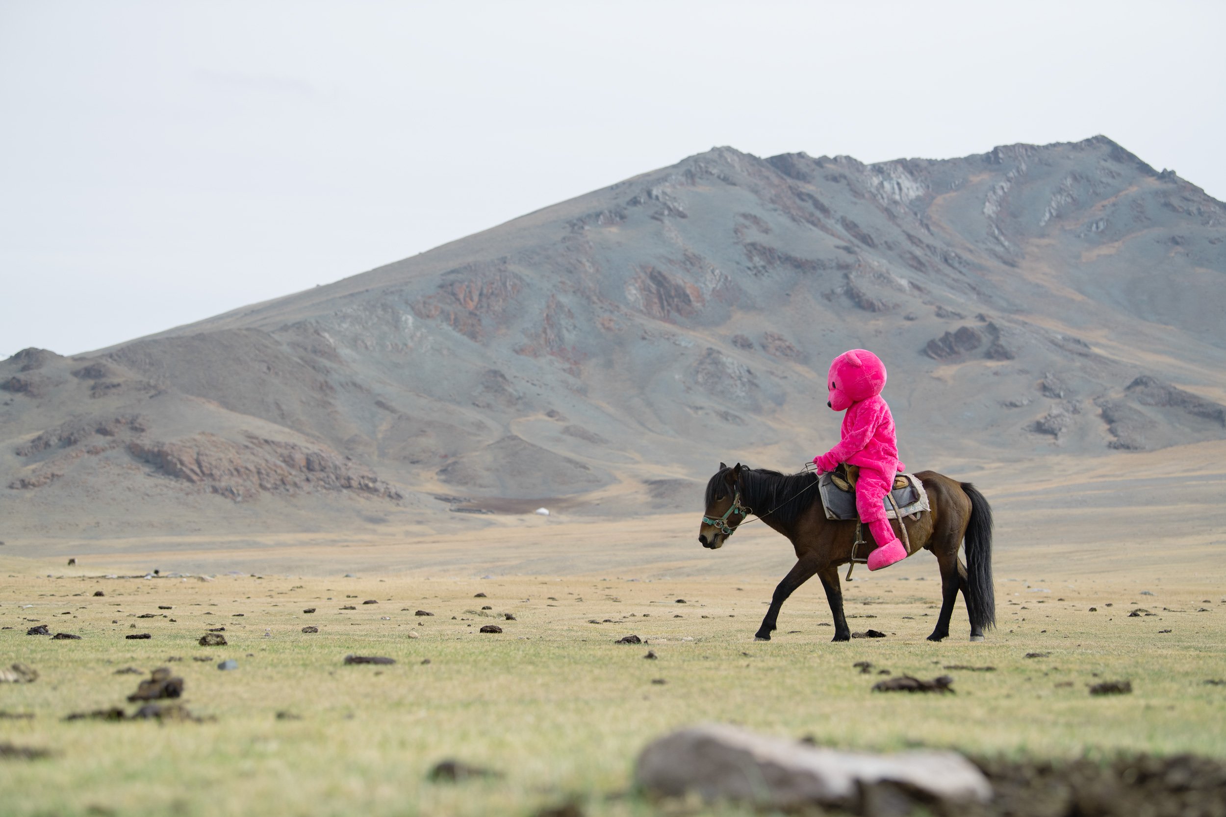 mongolia-6448.jpg