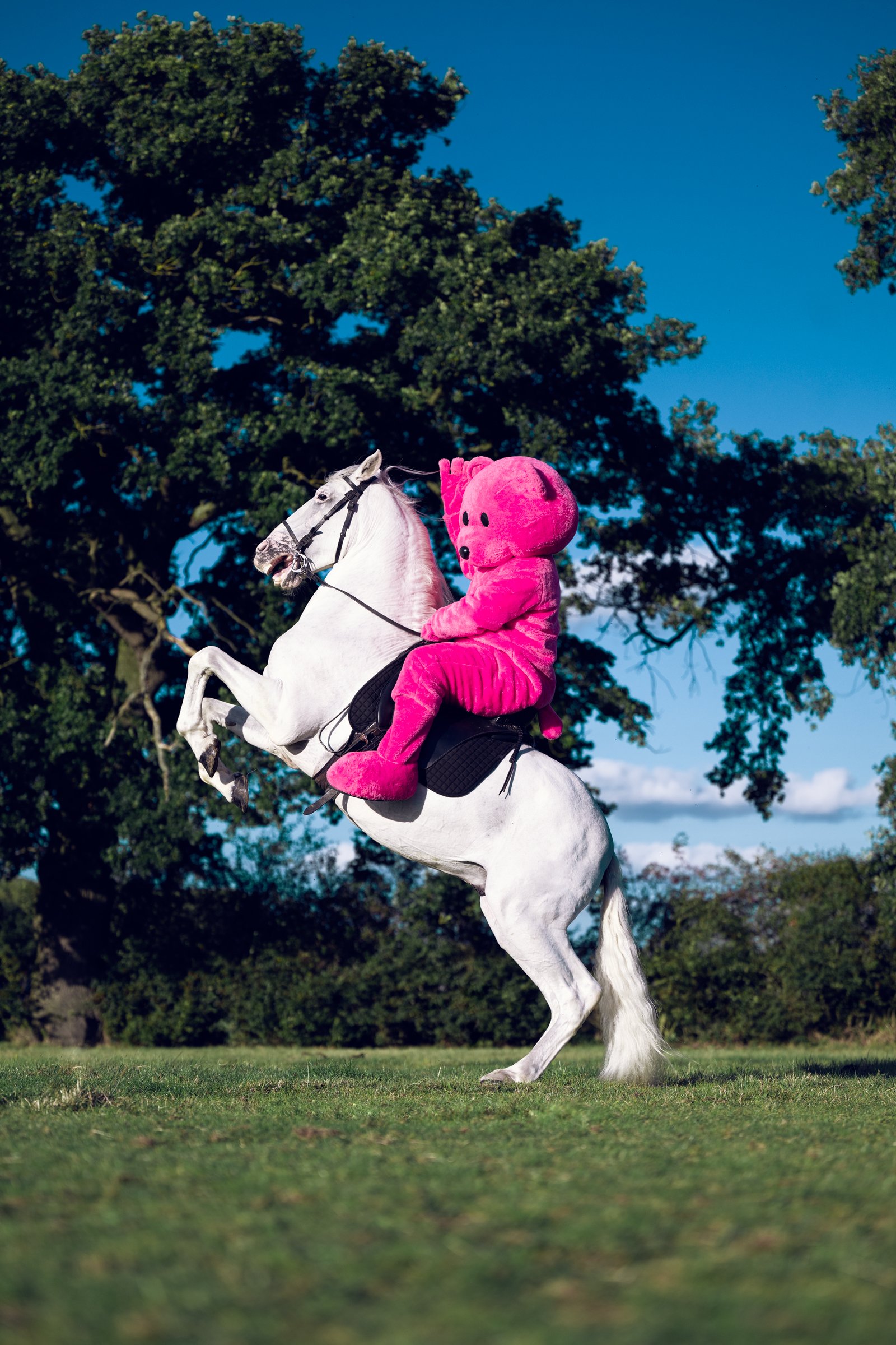 white_horse-0189_luap_web.jpg