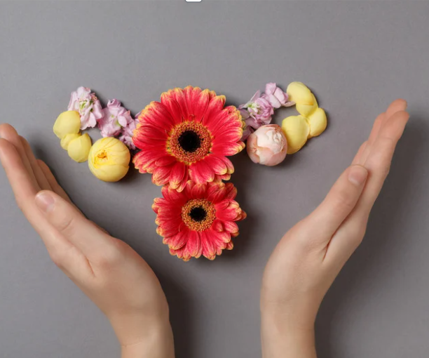 Herbal Approaches to Balancing Hormones and Cycle-Related Symptoms